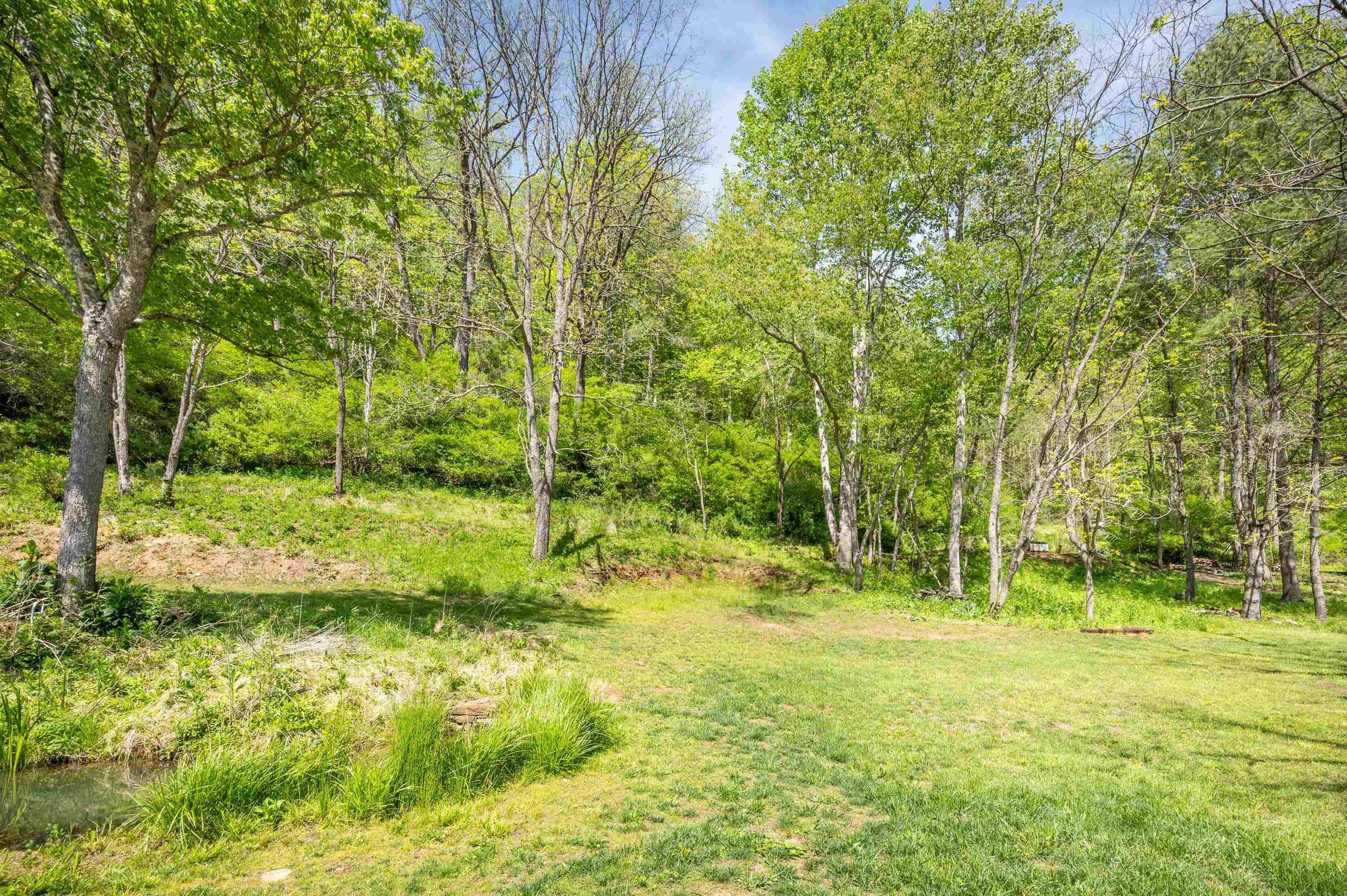 549 Burkes Ford Road Dugspur VA 24325