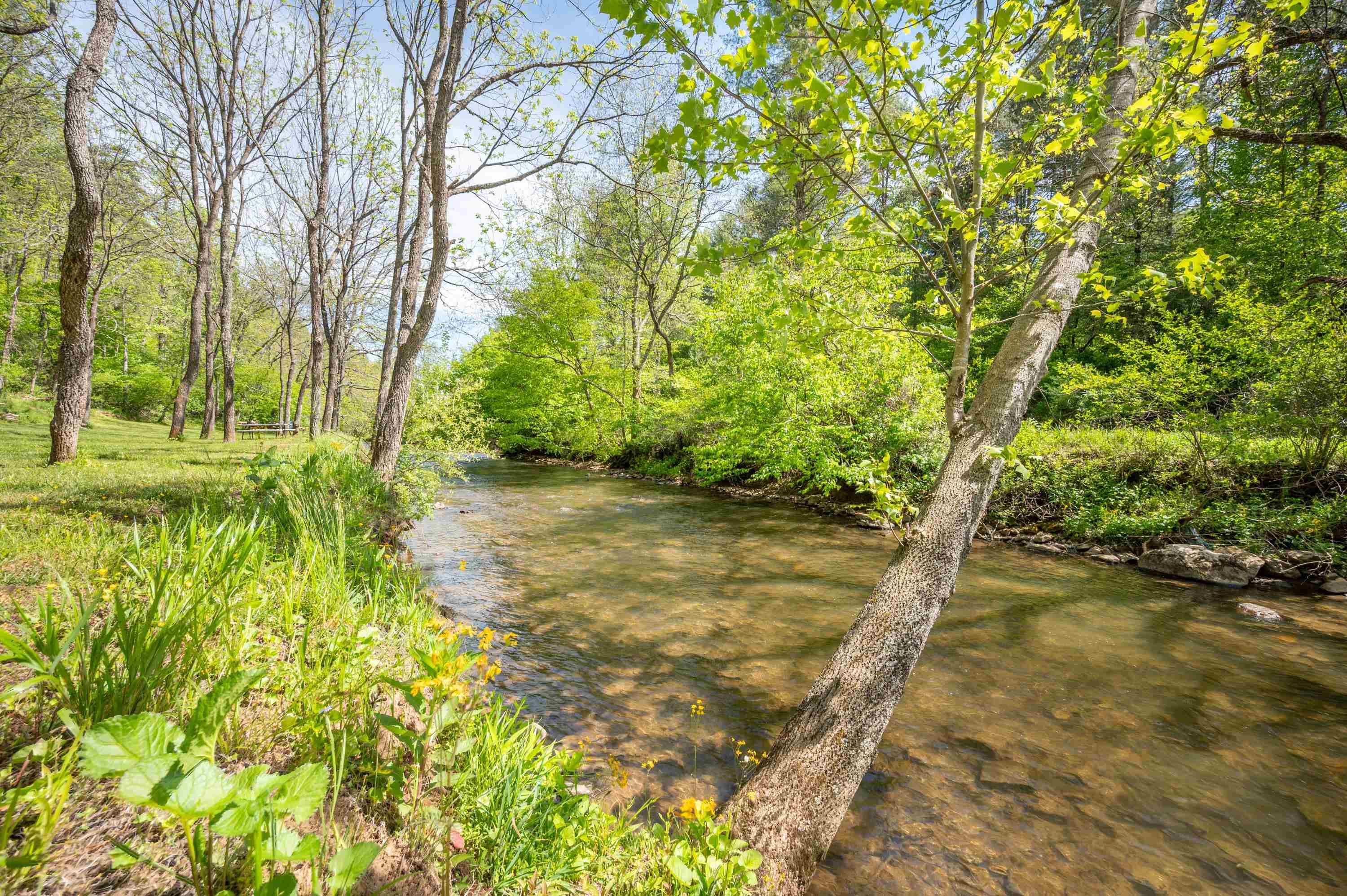 549 Burkes Ford Road Dugspur VA 24325