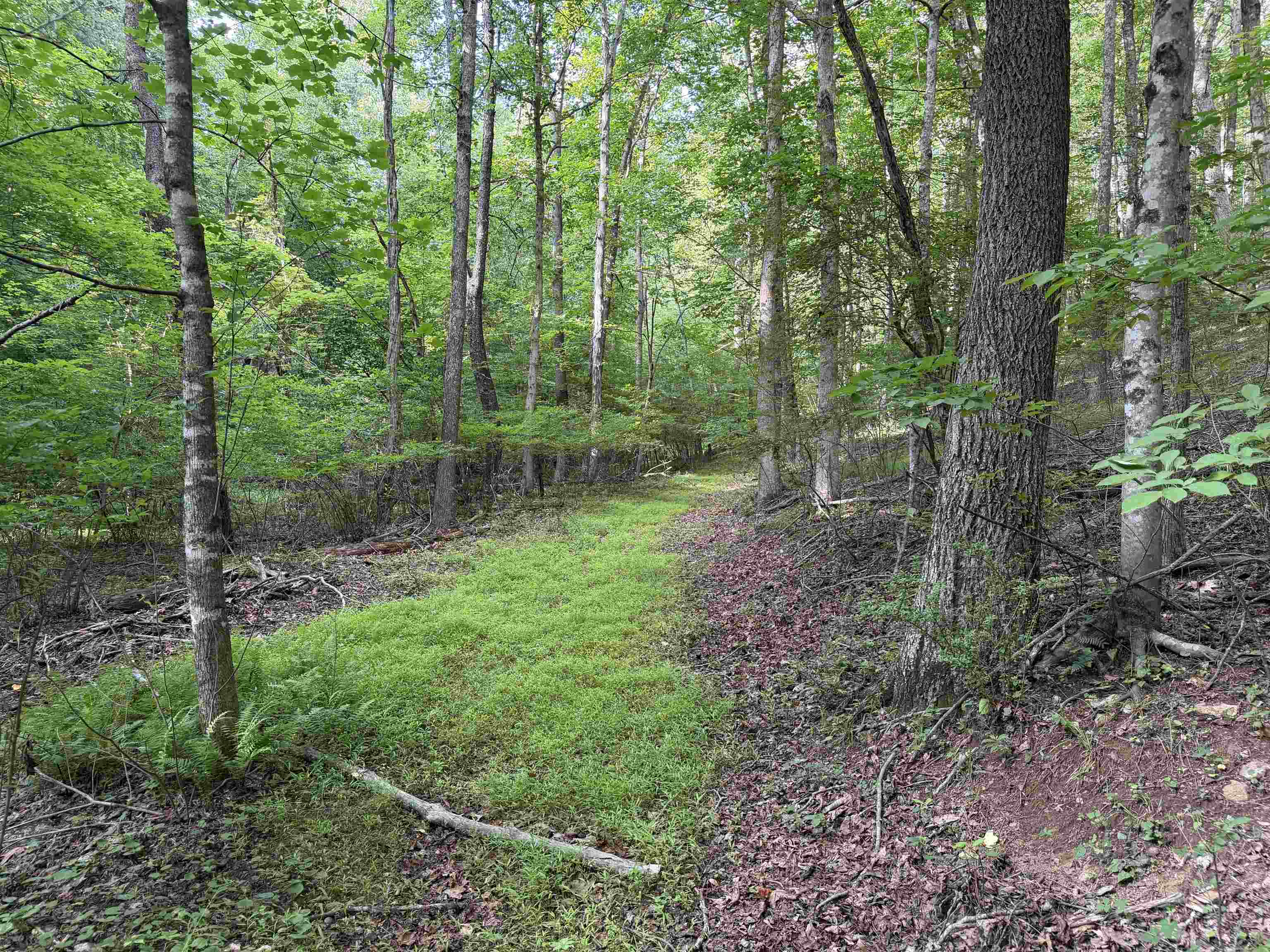 1501 Woods Gap Road Floyd VA 24091