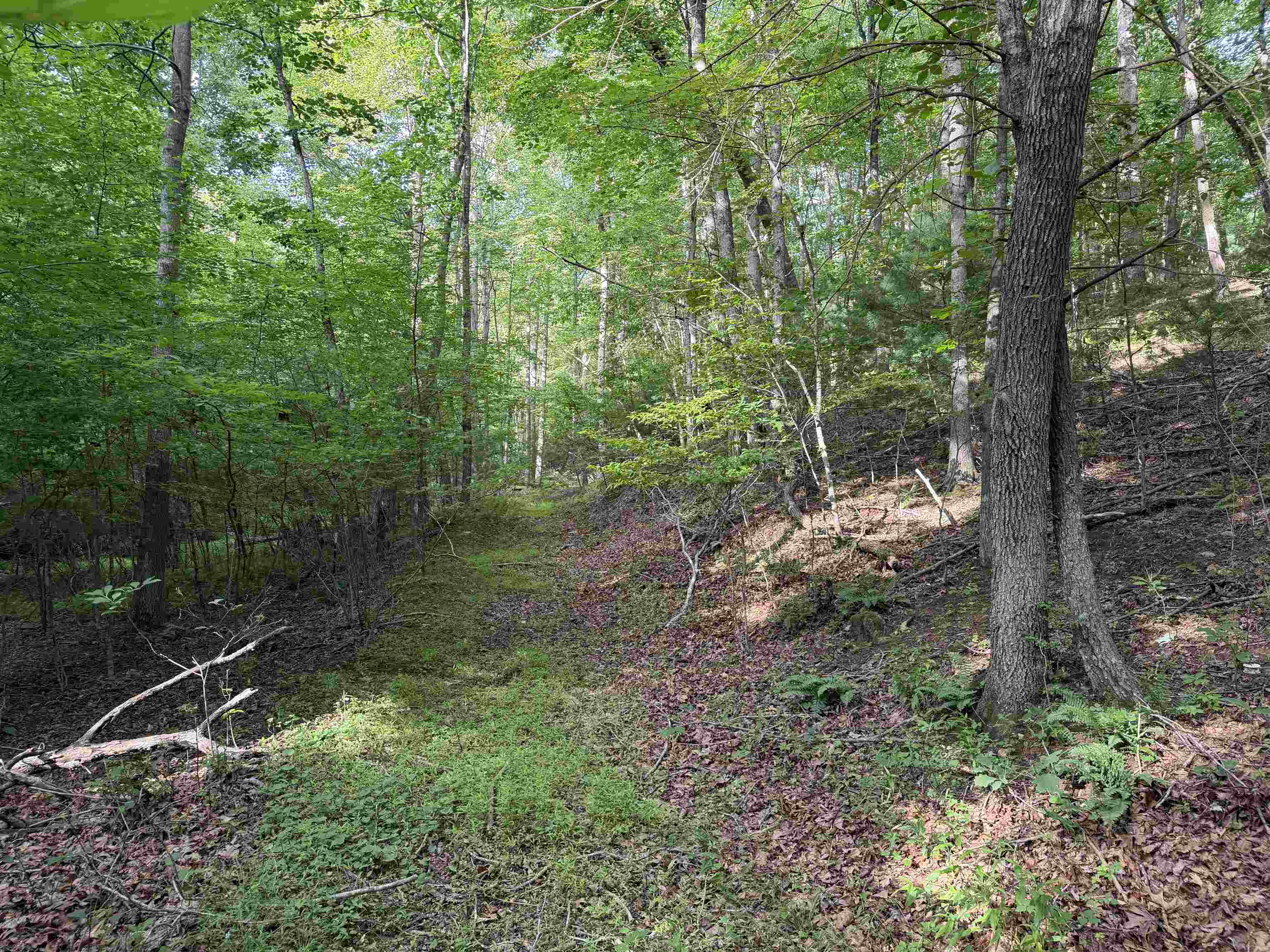 1501 Woods Gap Road Floyd VA 24091