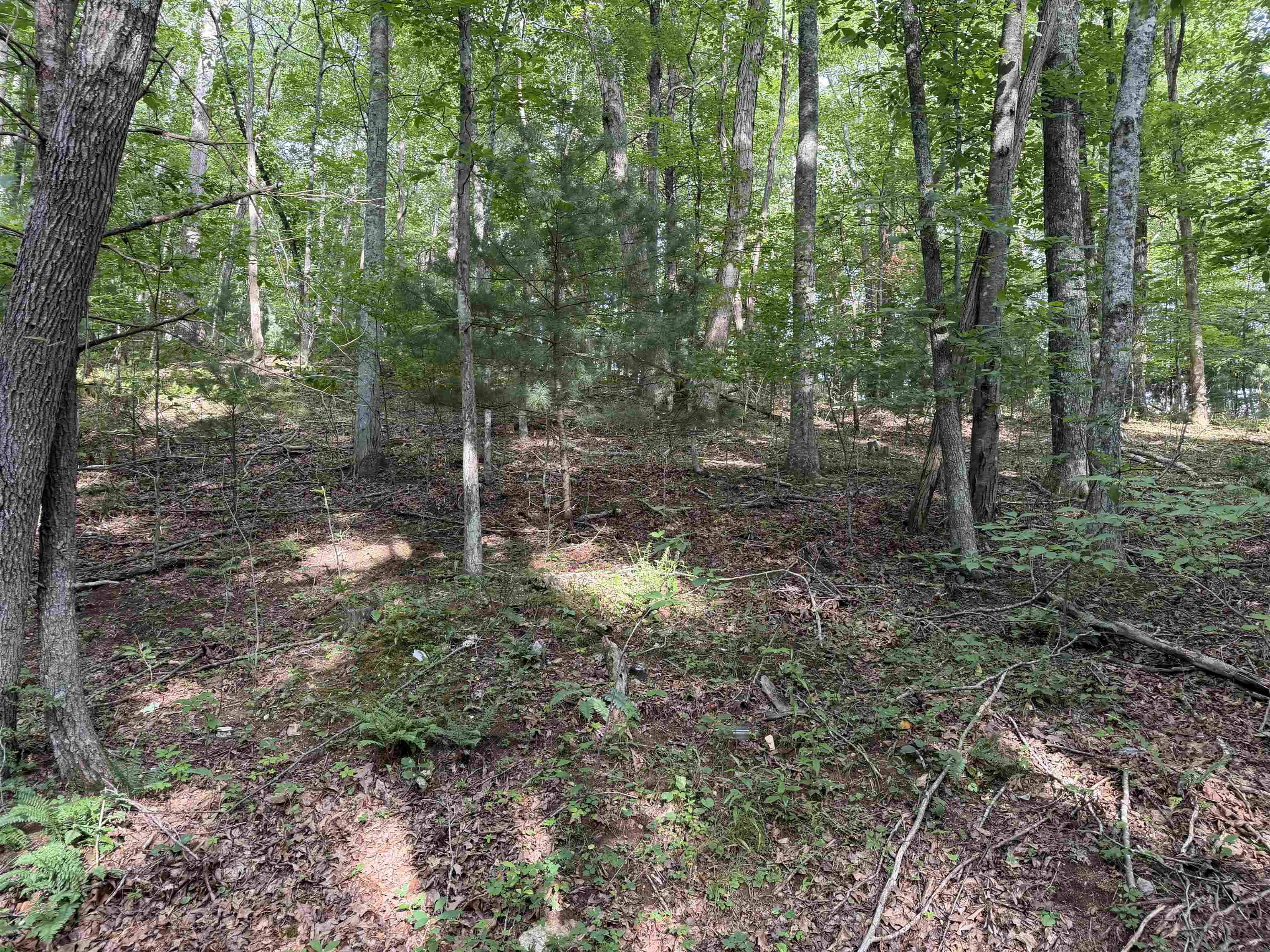 1501 Woods Gap Road Floyd VA 24091
