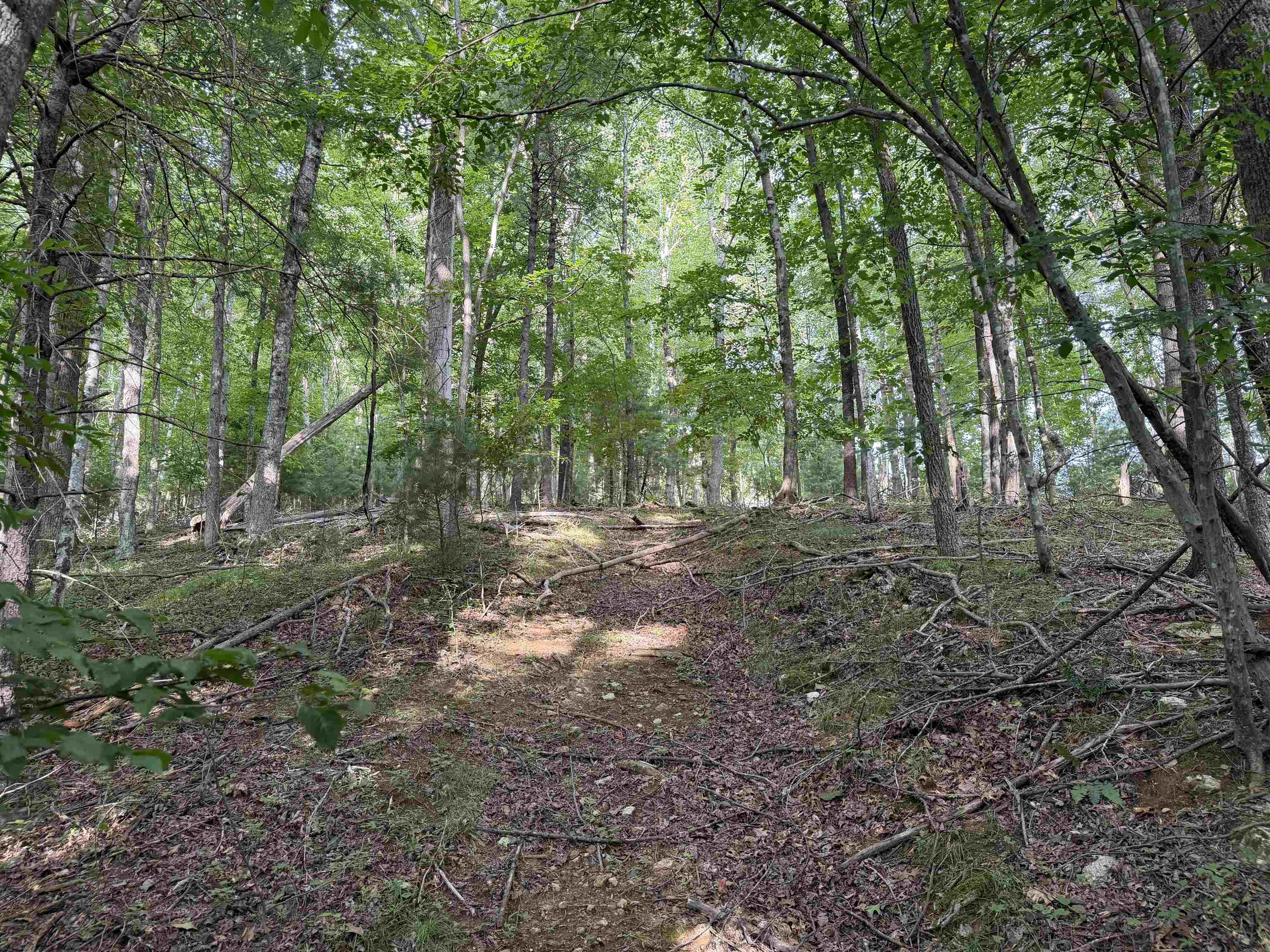 1501 Woods Gap Road Floyd VA 24091