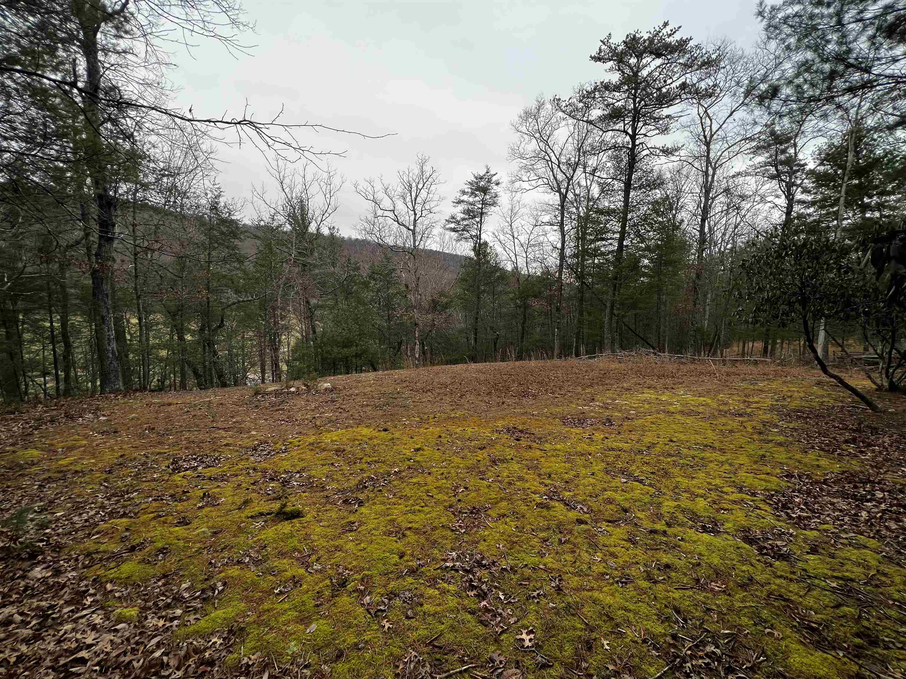 Tbd Black Diamond Drive New Castle VA 24127