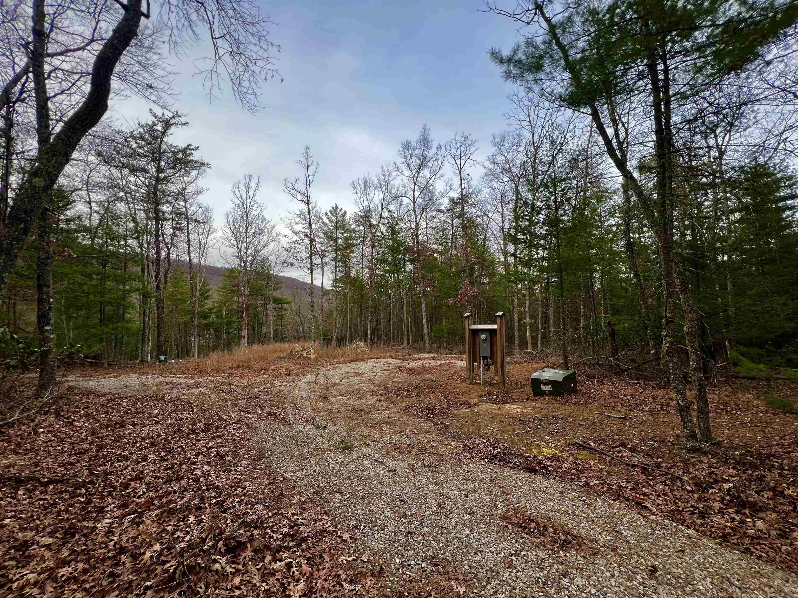 Tbd Black Diamond Drive New Castle VA 24127