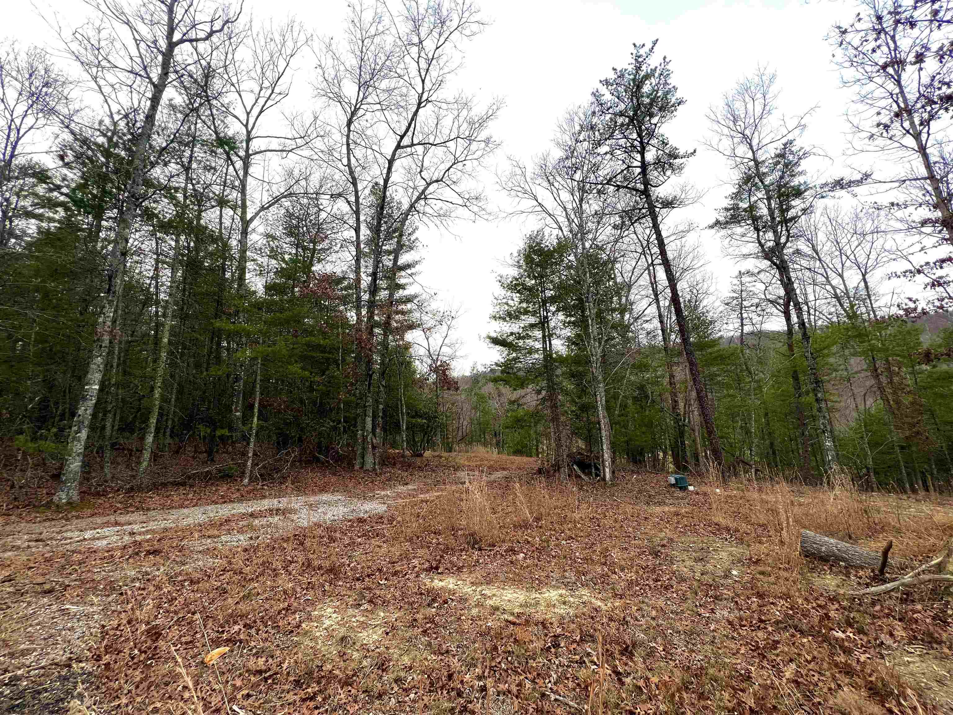 Tbd Black Diamond Drive New Castle VA 24127