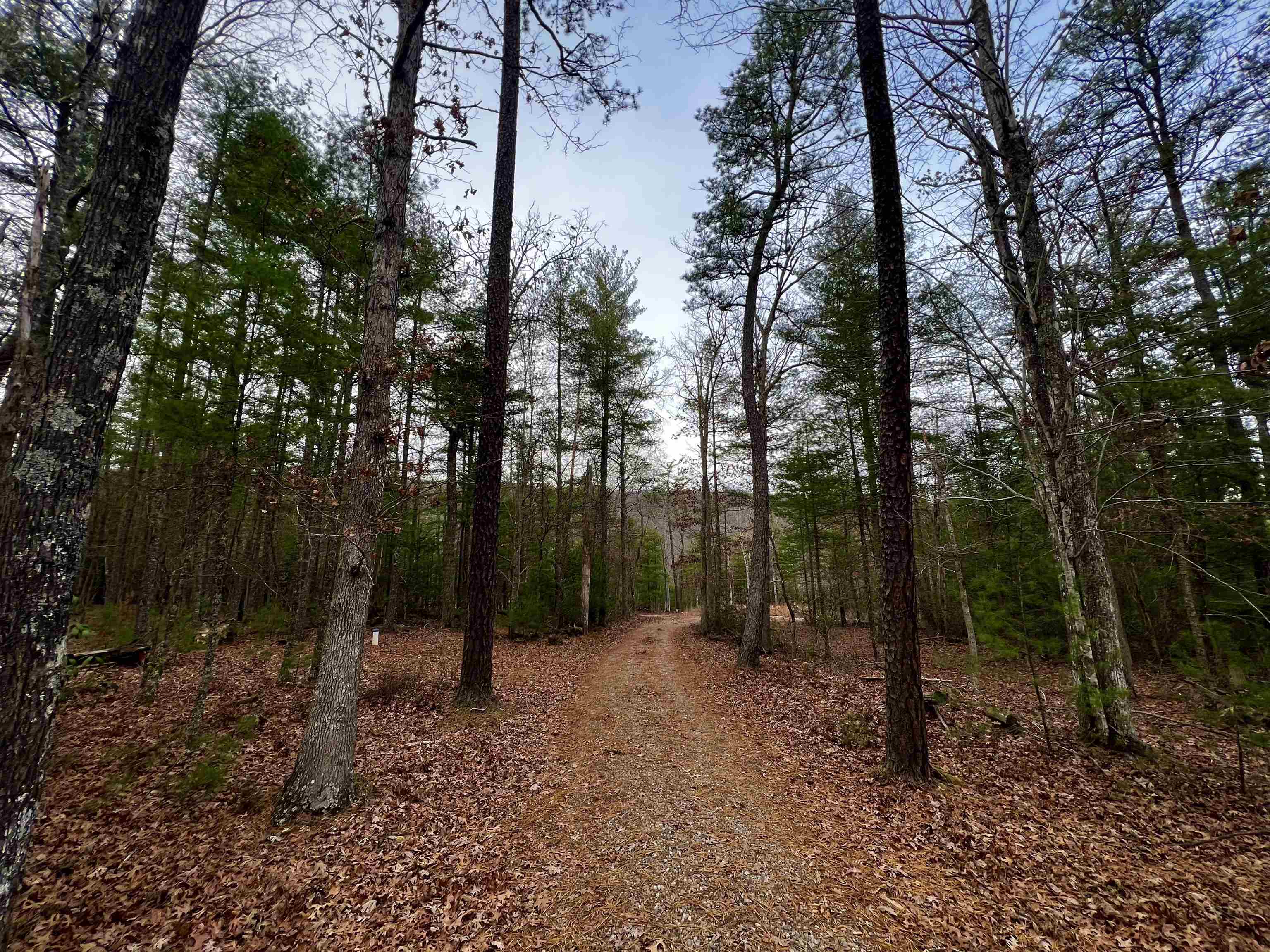 Tbd Black Diamond Drive New Castle VA 24127