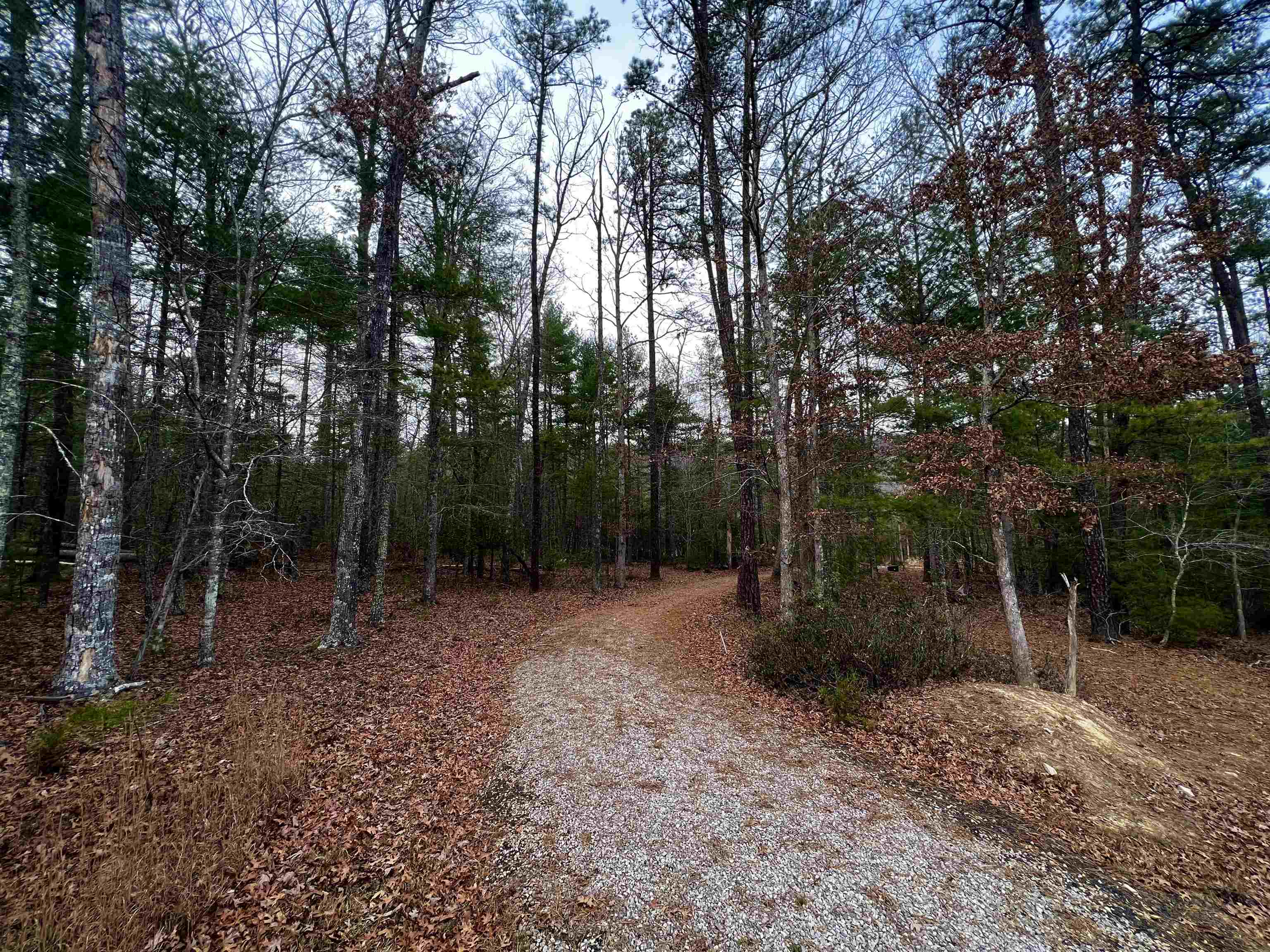 Tbd Black Diamond Drive New Castle VA 24127