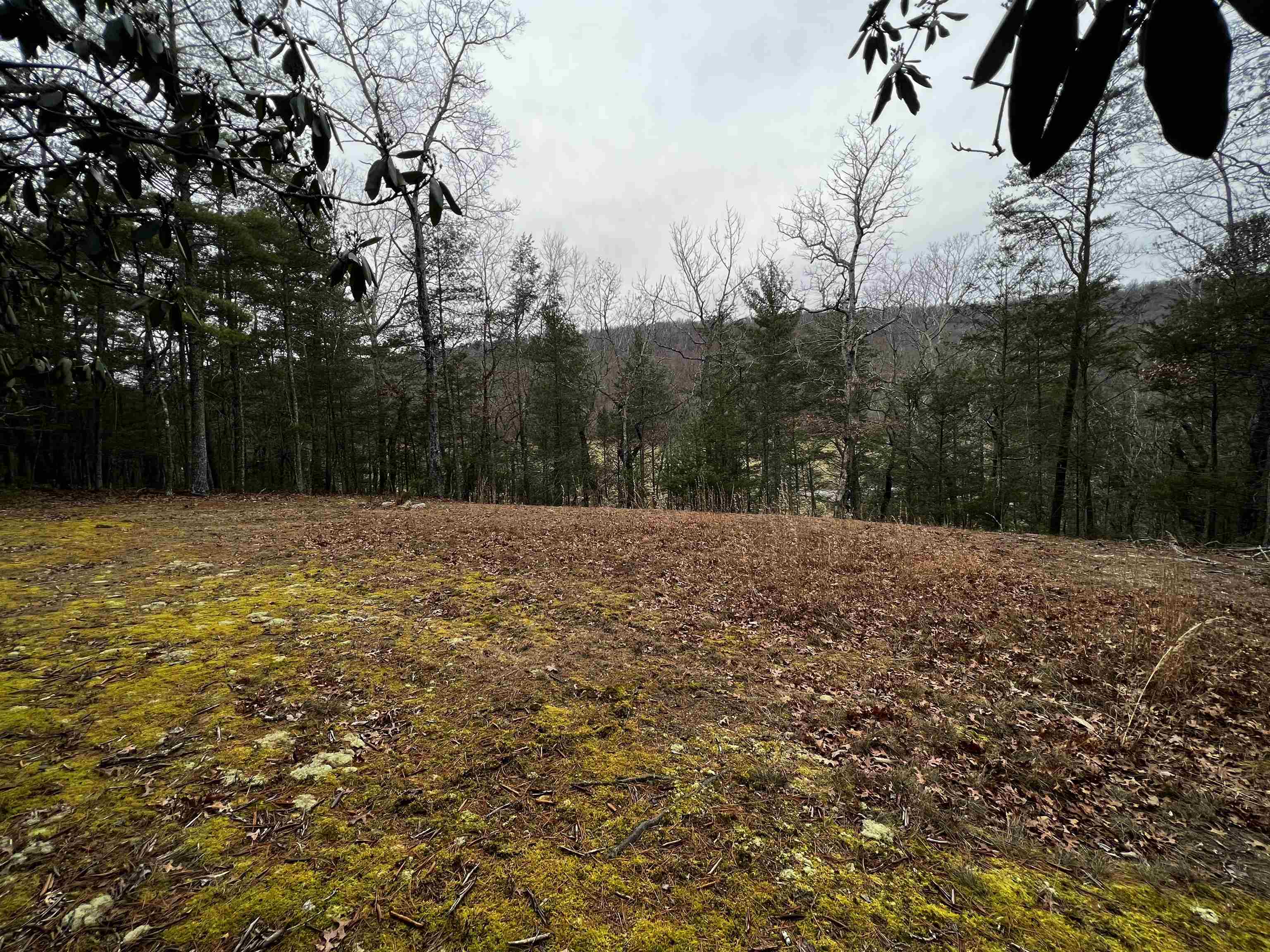 Tbd Black Diamond Drive New Castle VA 24127