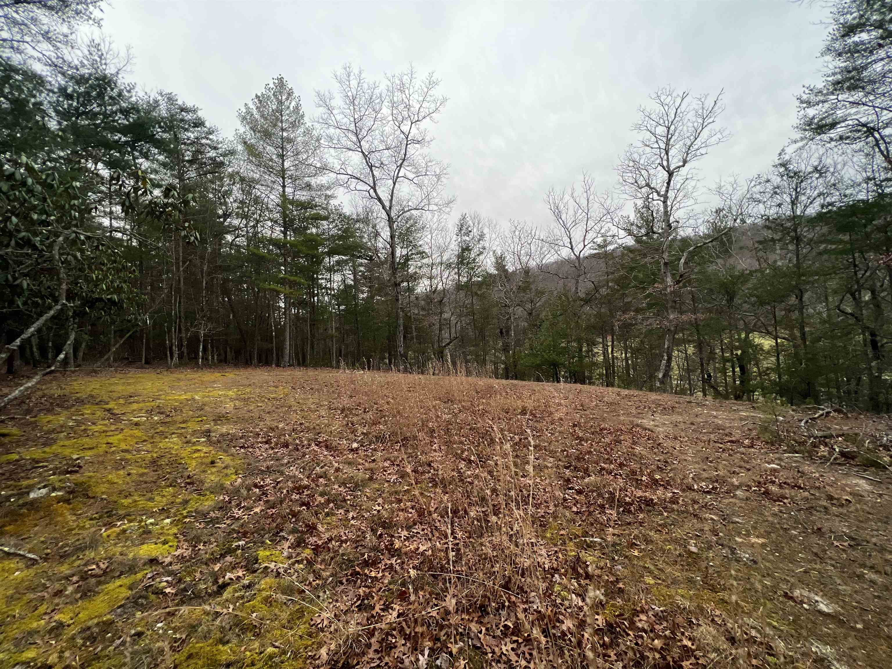 Tbd Black Diamond Drive New Castle VA 24127