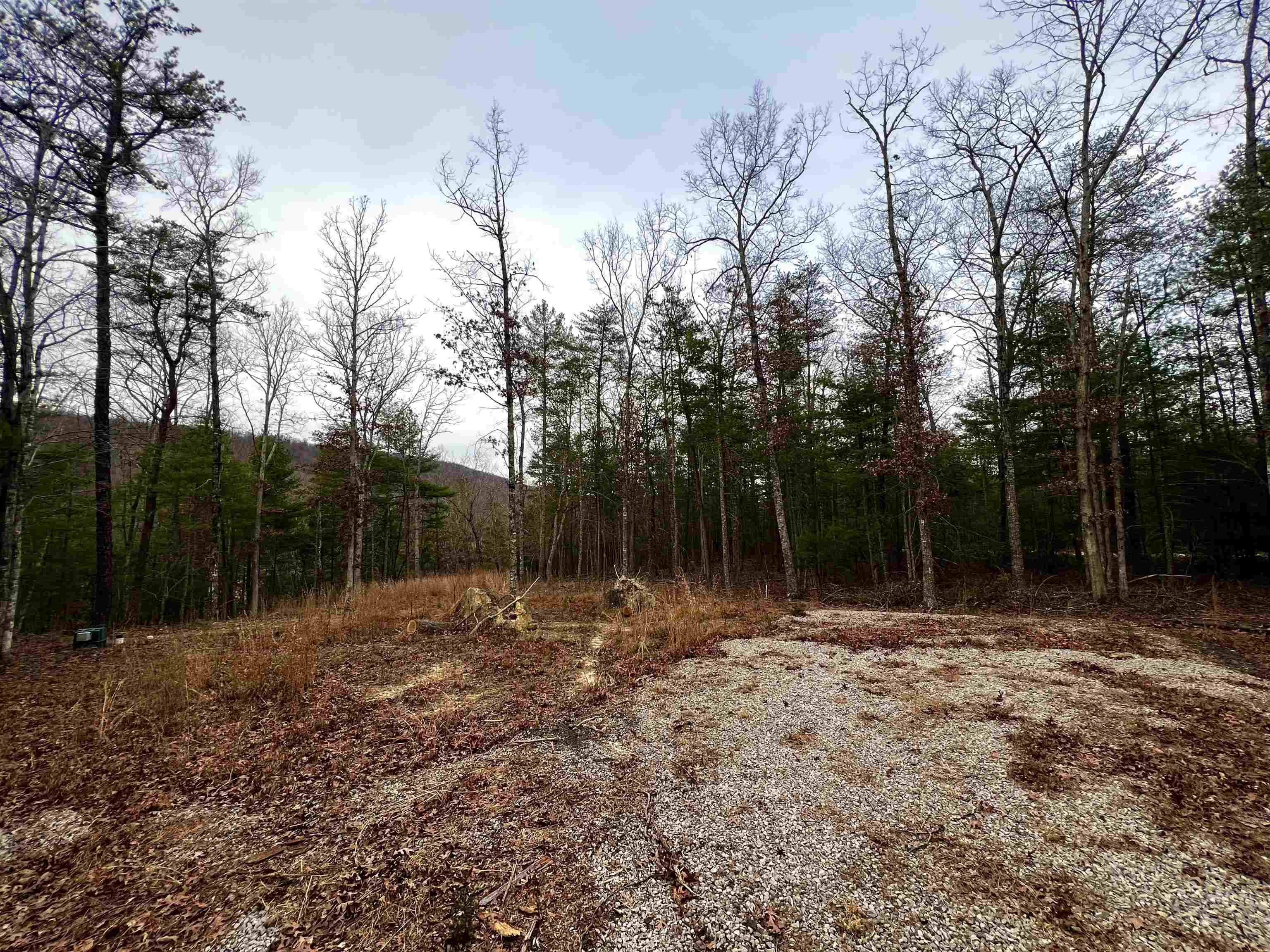 Tbd Black Diamond Drive New Castle VA 24127