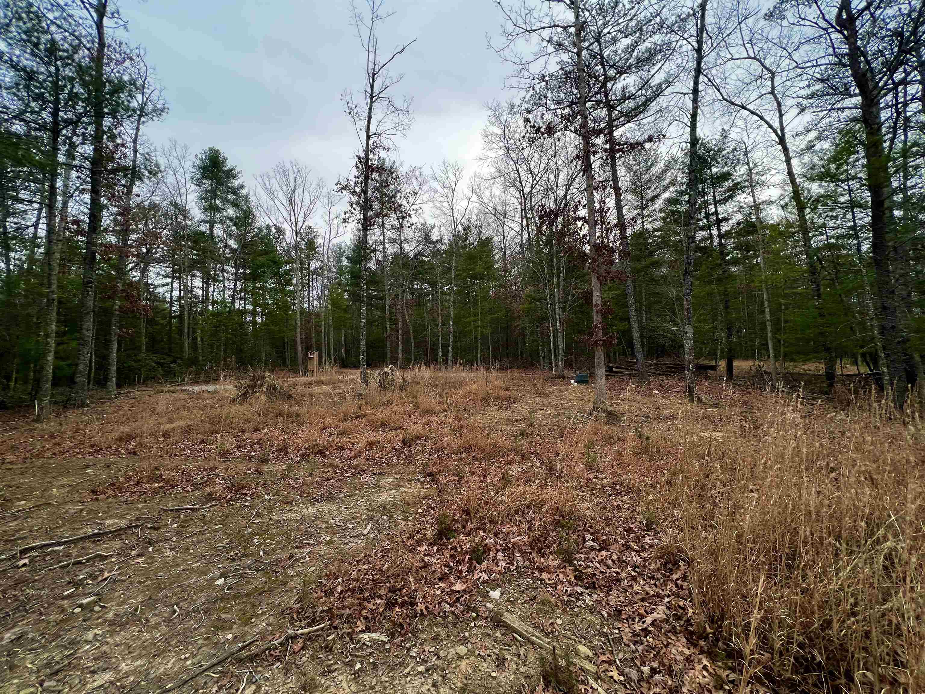 Tbd Black Diamond Drive New Castle VA 24127