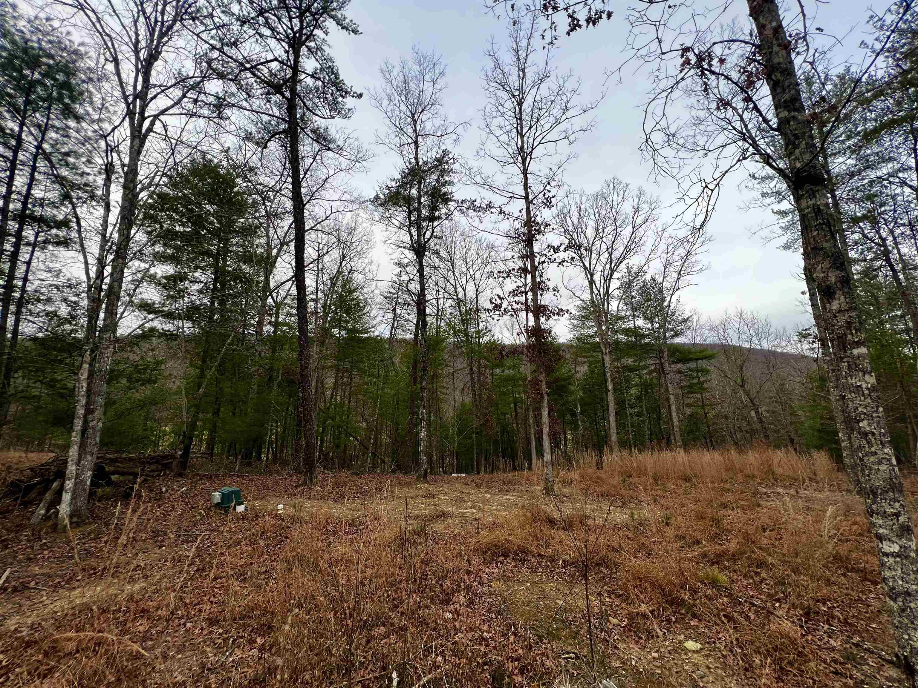 Tbd Black Diamond Drive New Castle VA 24127