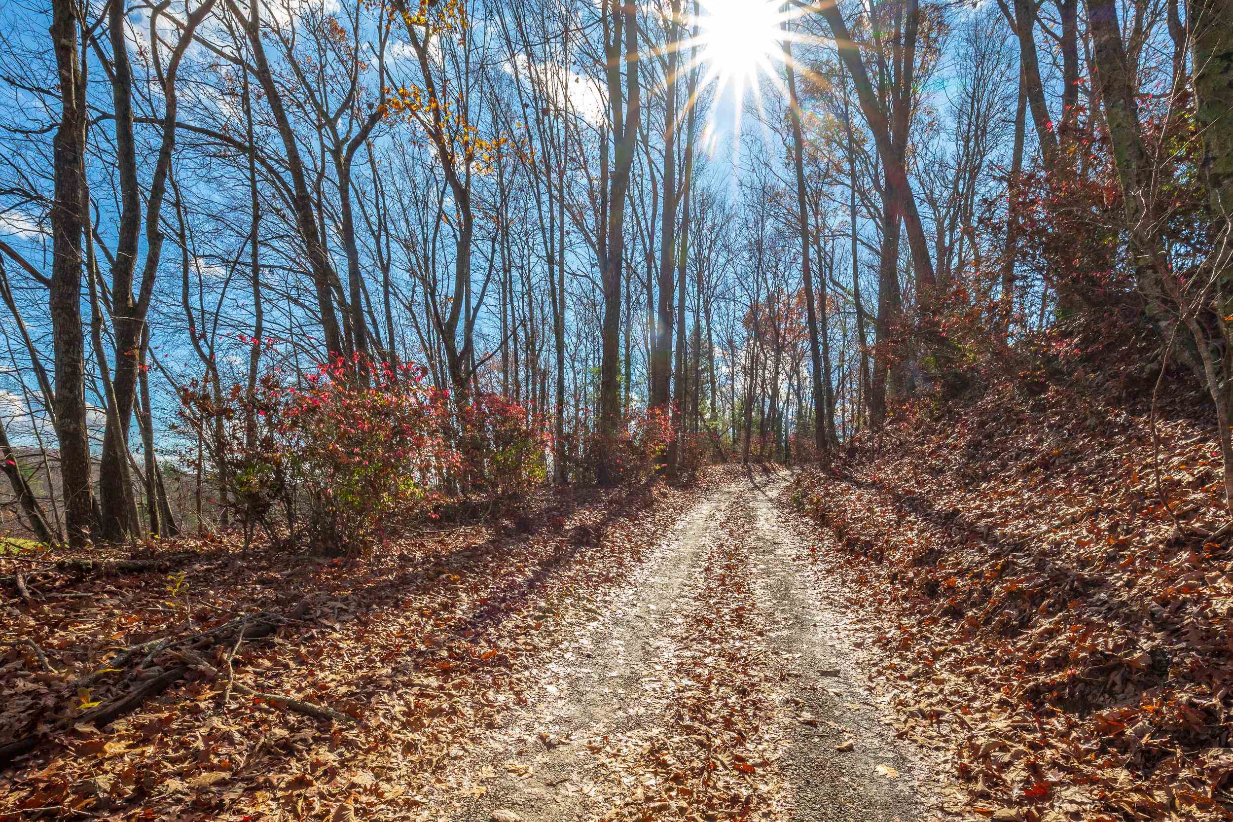 25 Sawmill Holler Road Hillsville VA 24343