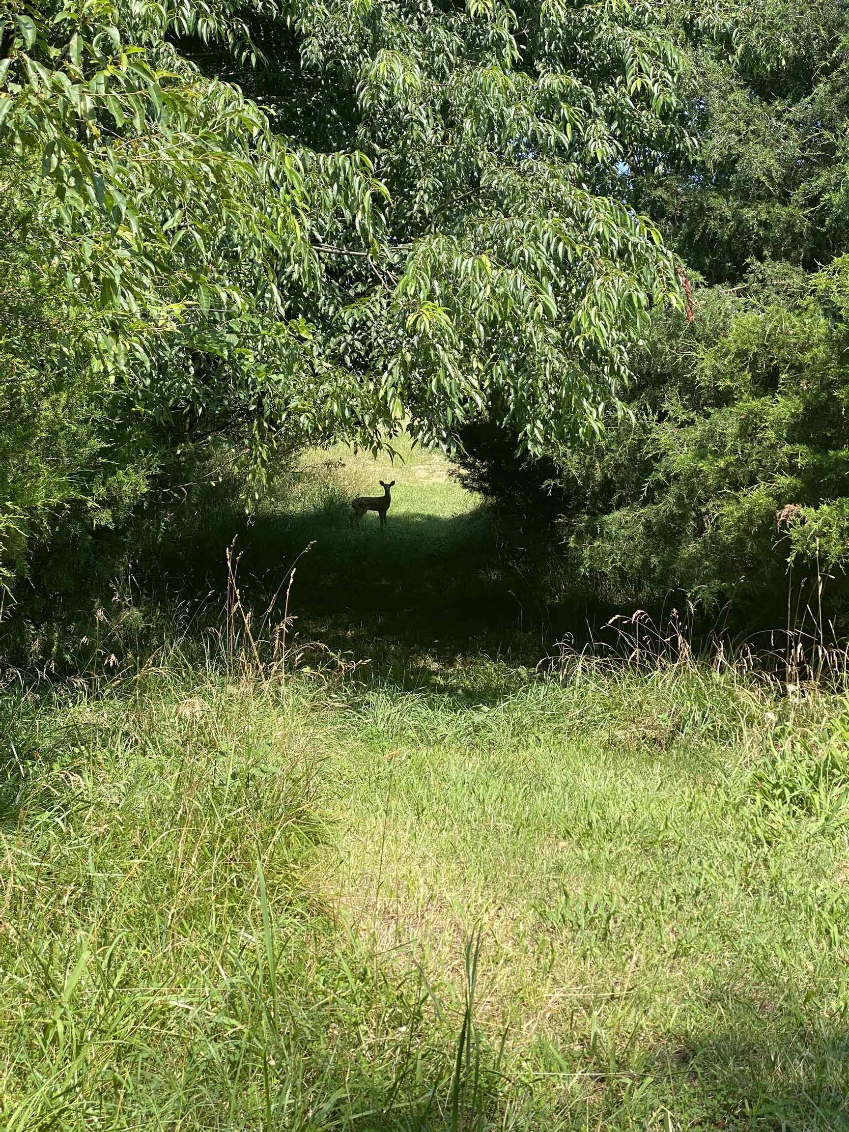 7735 & 7739 Walker Farms Drive Radford VA 24141