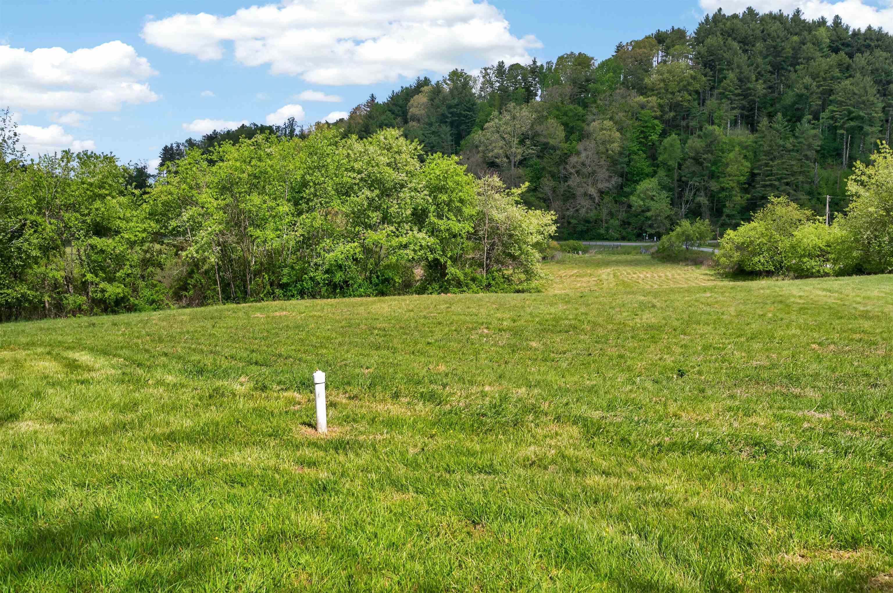 1866 Buffalo Mountain Road Willis VA 24380