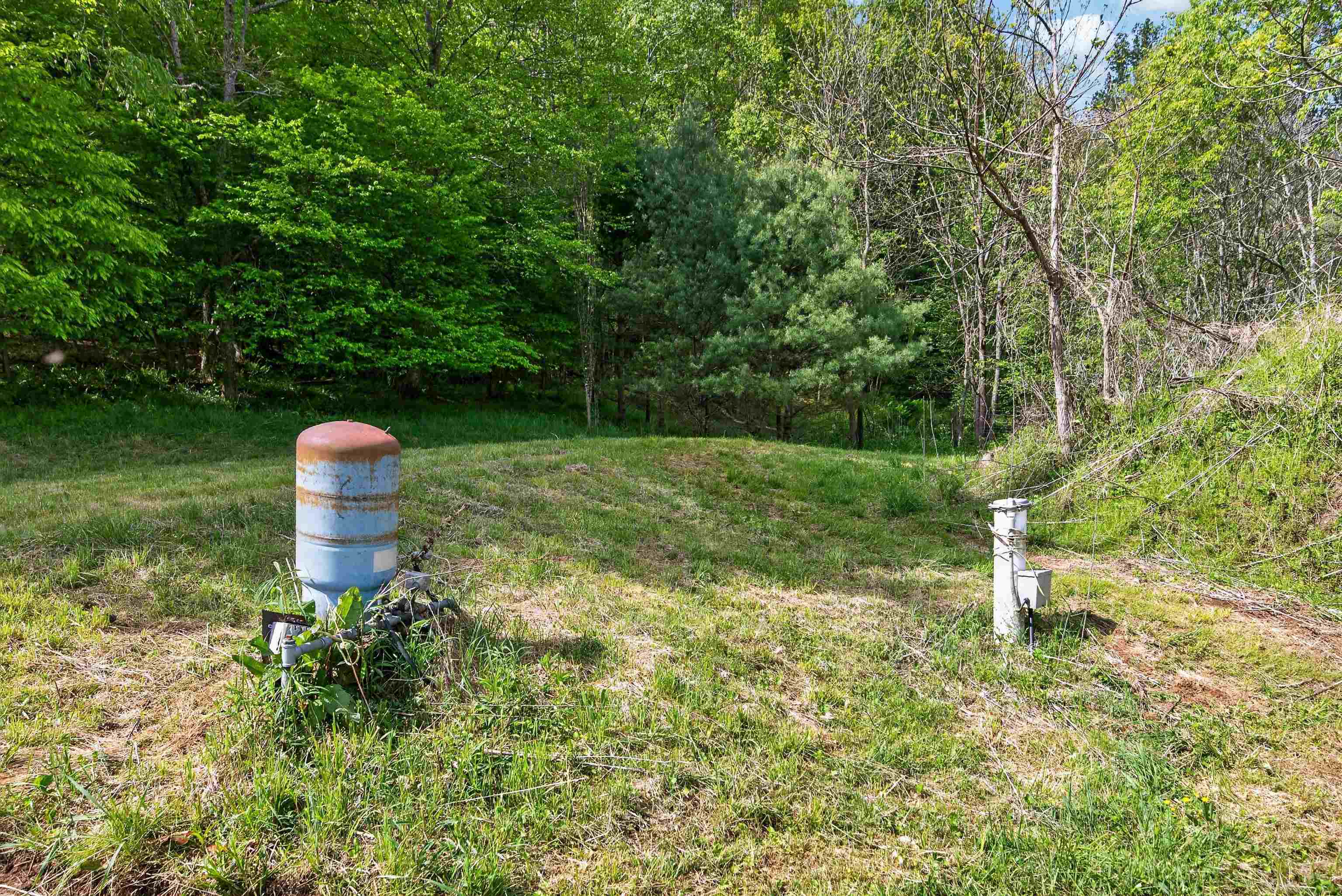 1866 Buffalo Mountain Road Willis VA 24380