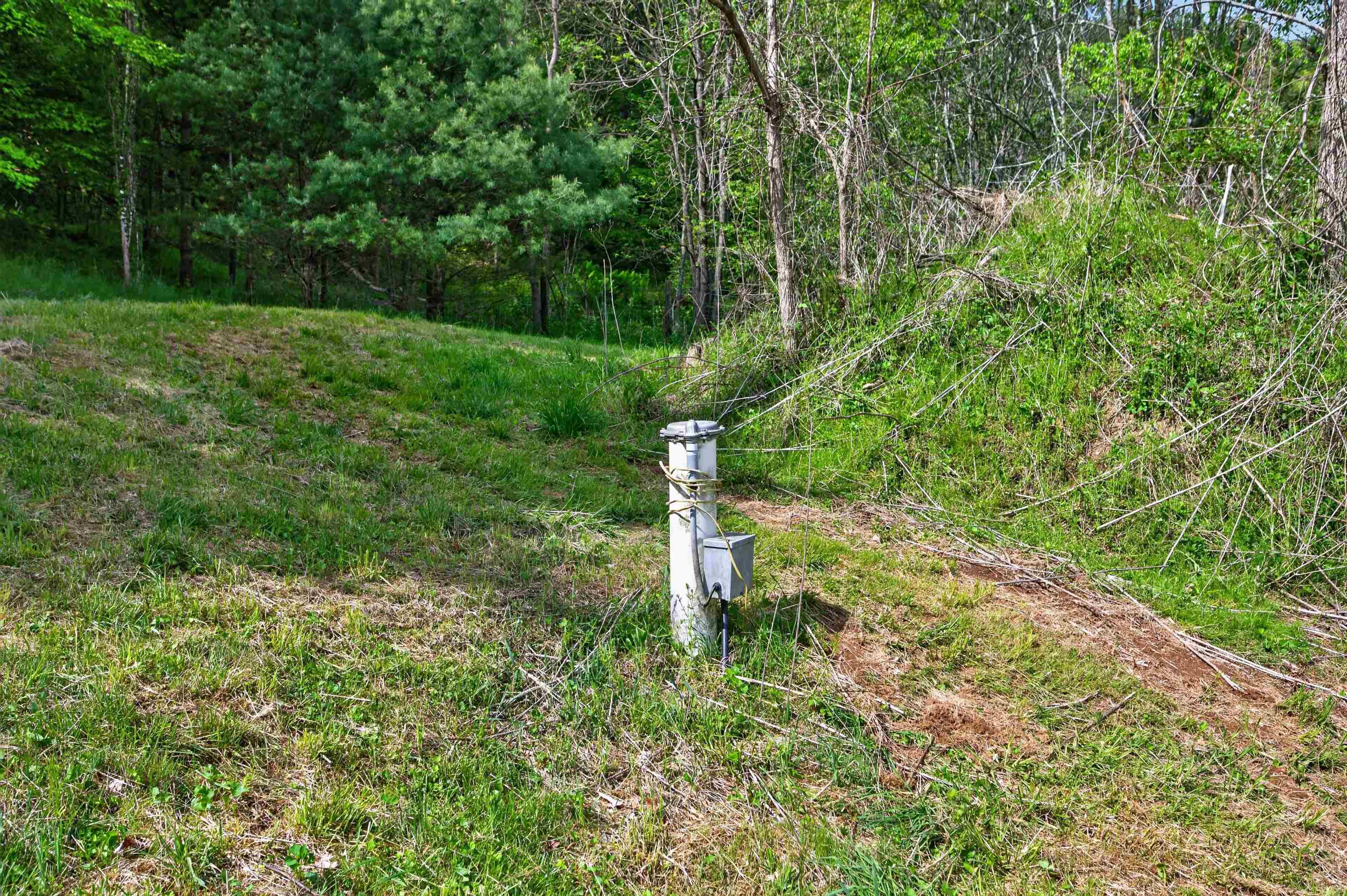 1866 Buffalo Mountain Road Willis VA 24380