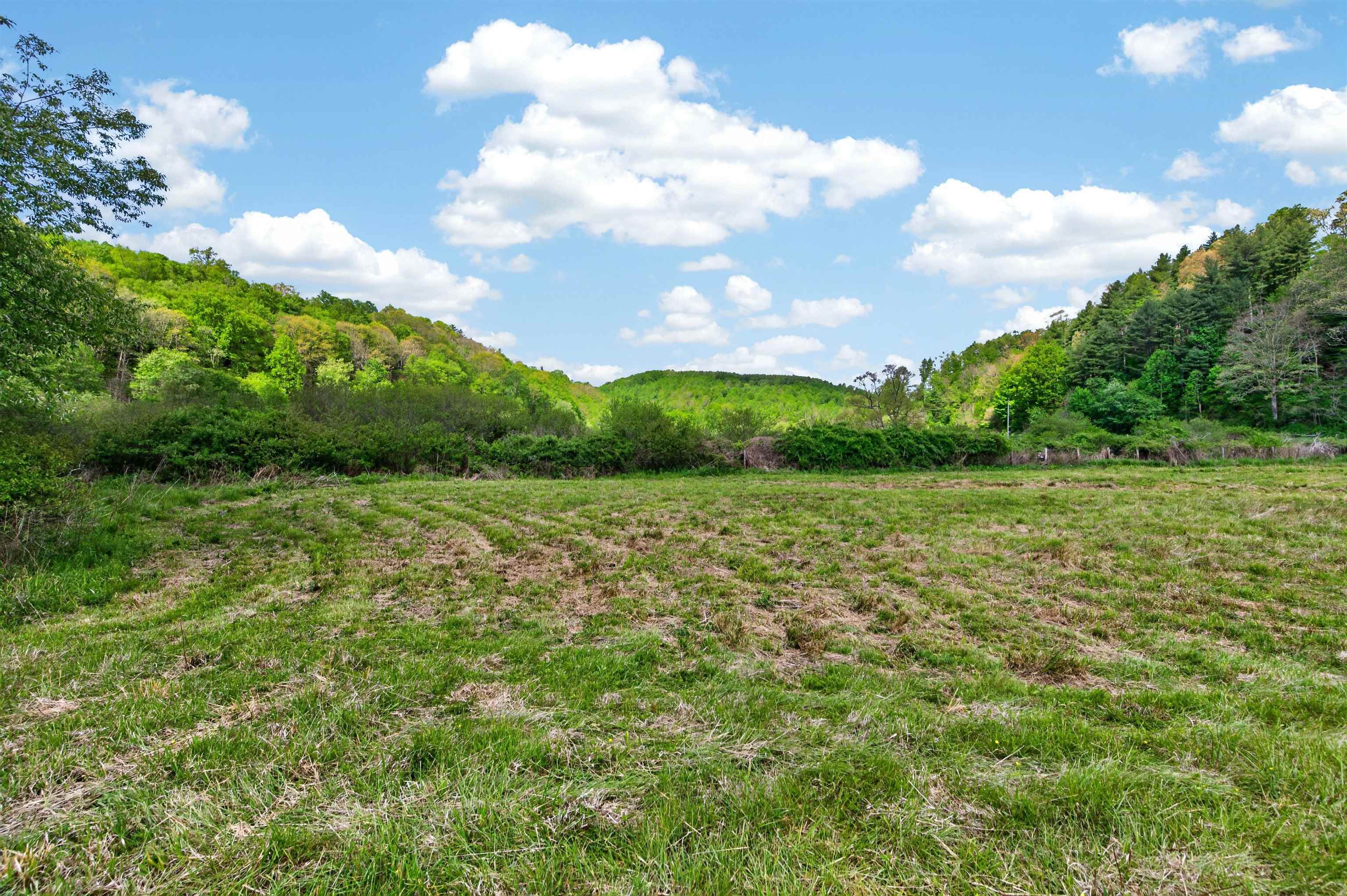 1866 Buffalo Mountain Road Willis VA 24380
