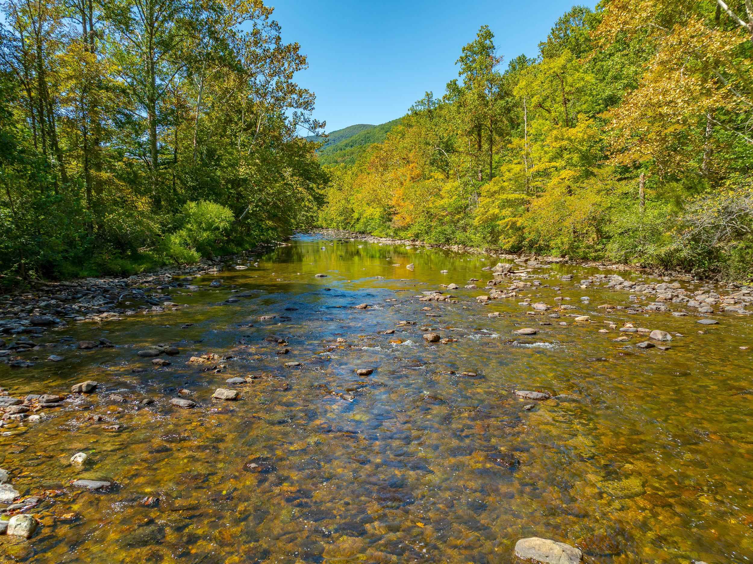 Tbd Wolf Creek Road Narrows VA 24124