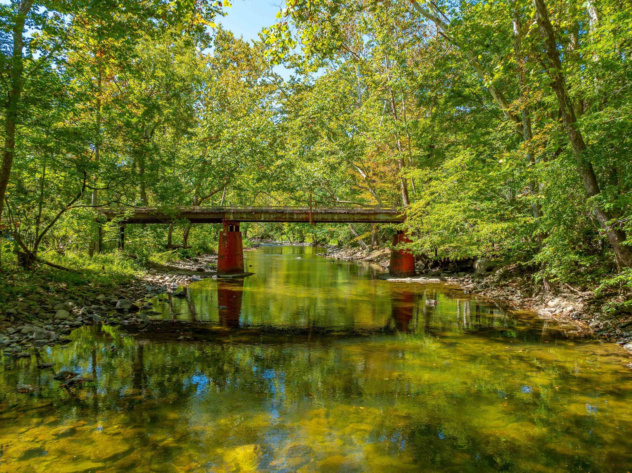 Tbd Wolf Creek Road Narrows VA 24124