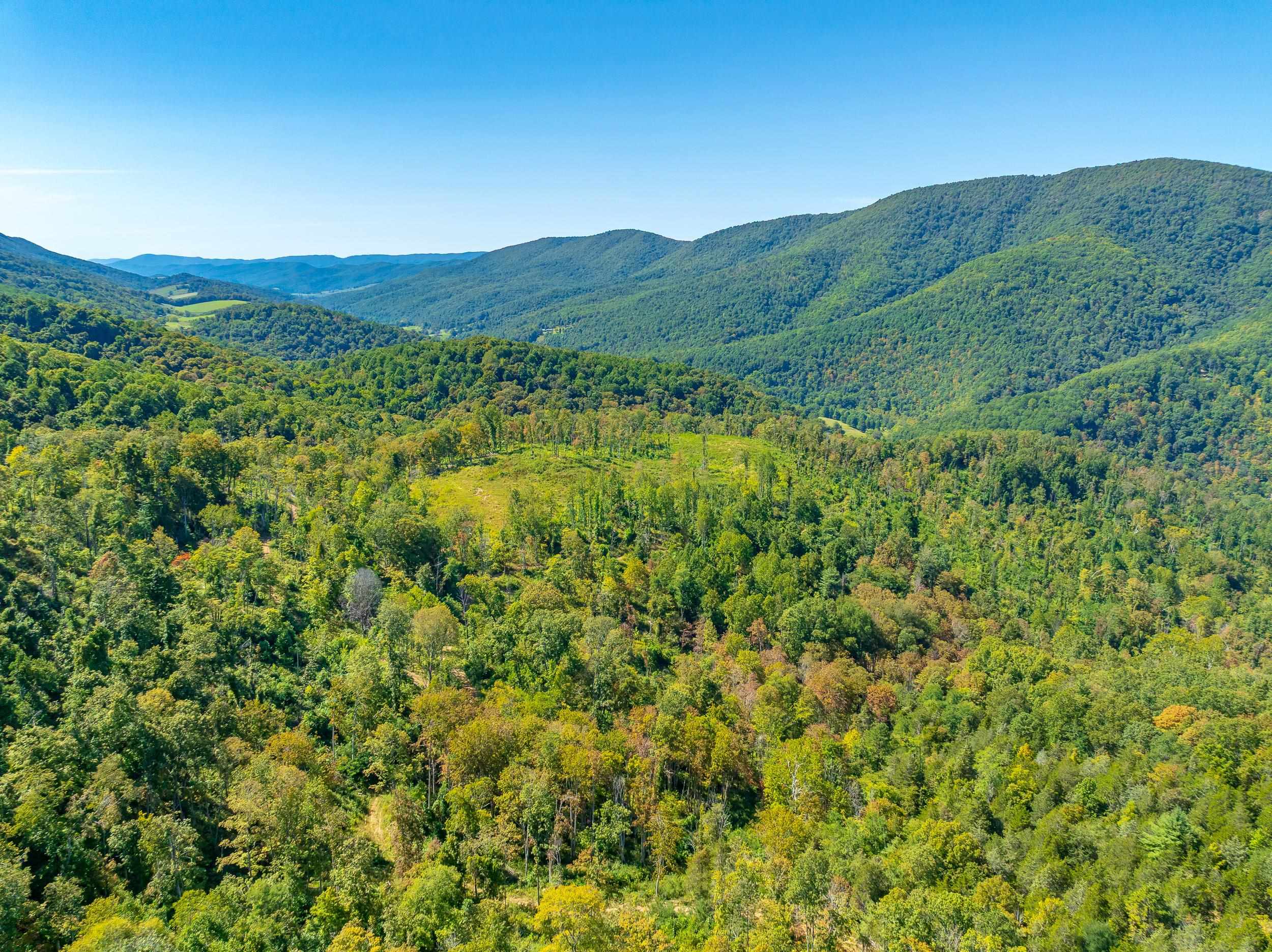 Tbd Wolf Creek Road Narrows VA 24124