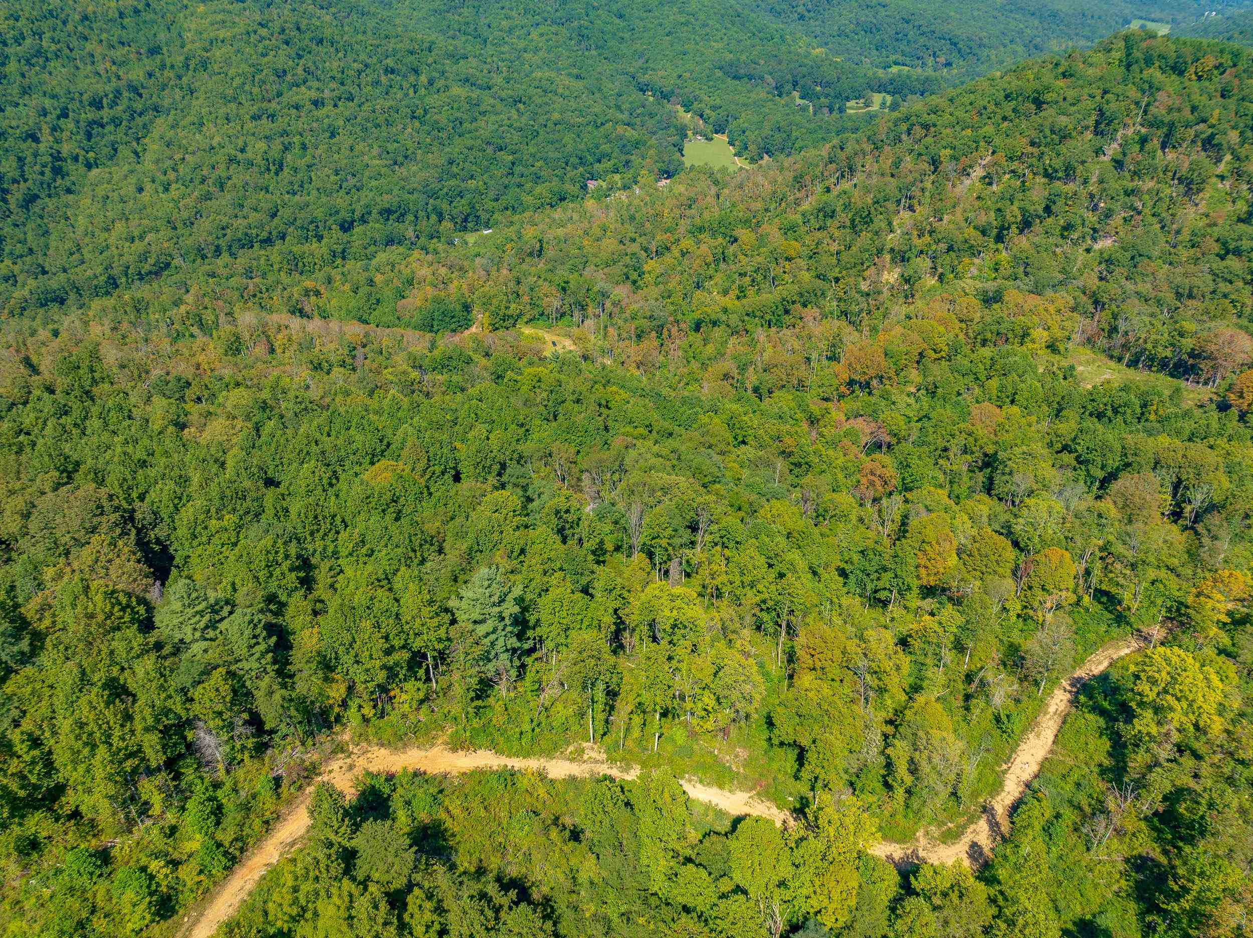 Tbd Wolf Creek Road Narrows VA 24124