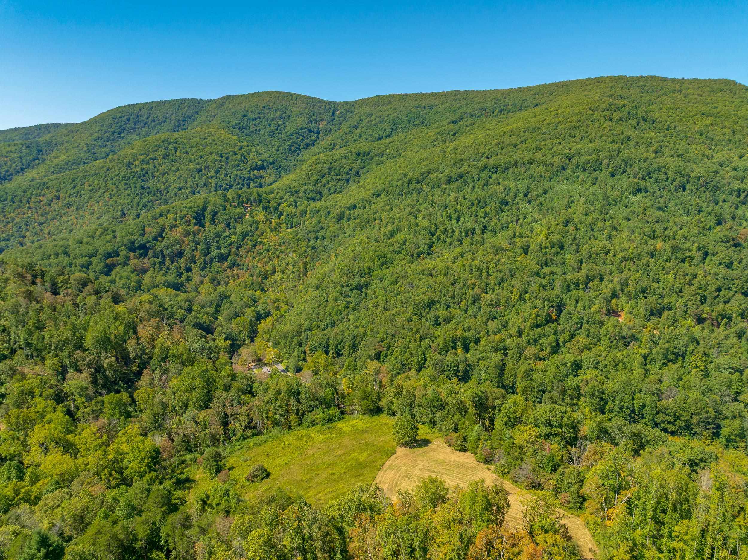 Tbd Wolf Creek Road Narrows VA 24124