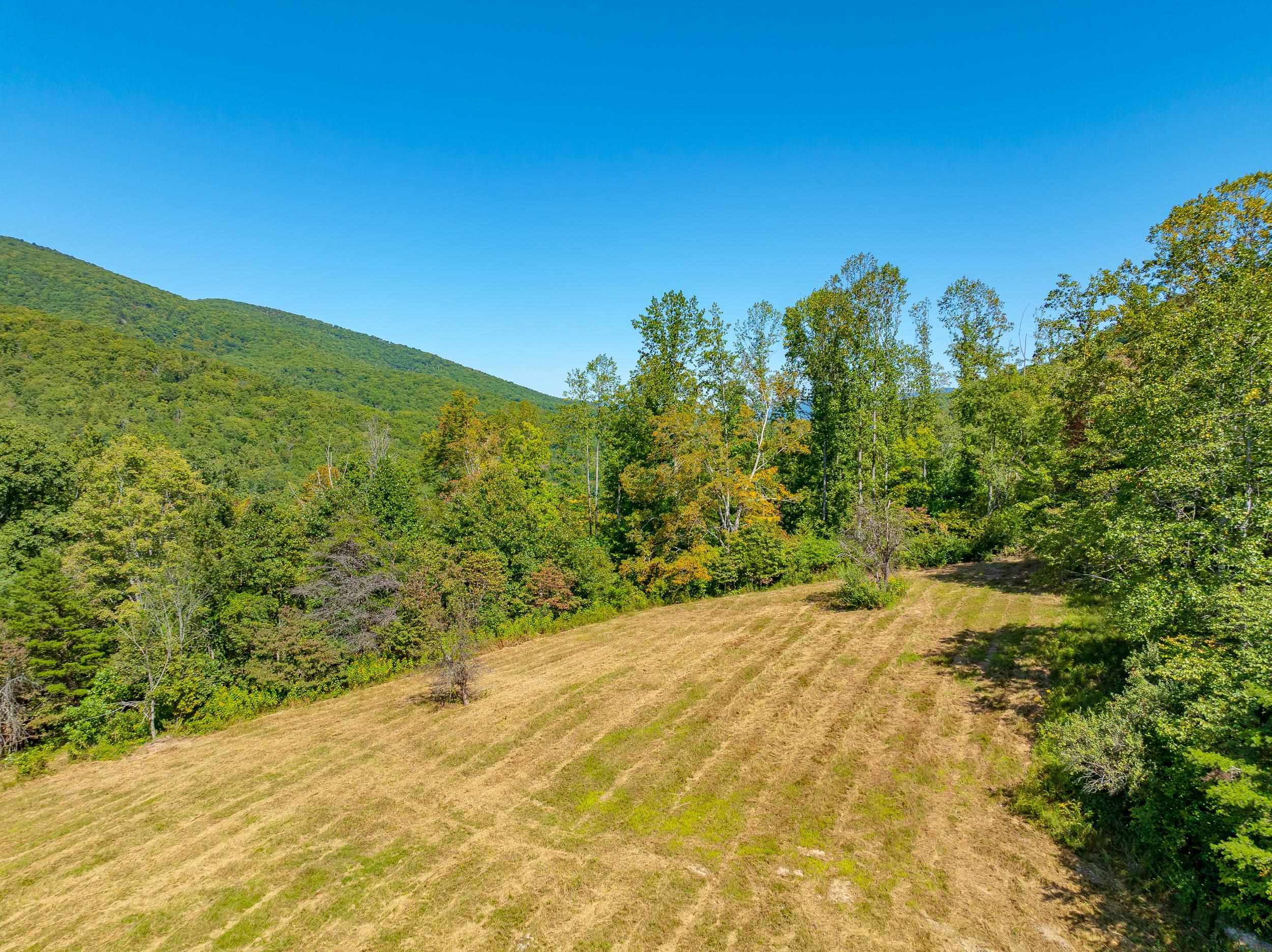 Tbd Wolf Creek Road Narrows VA 24124