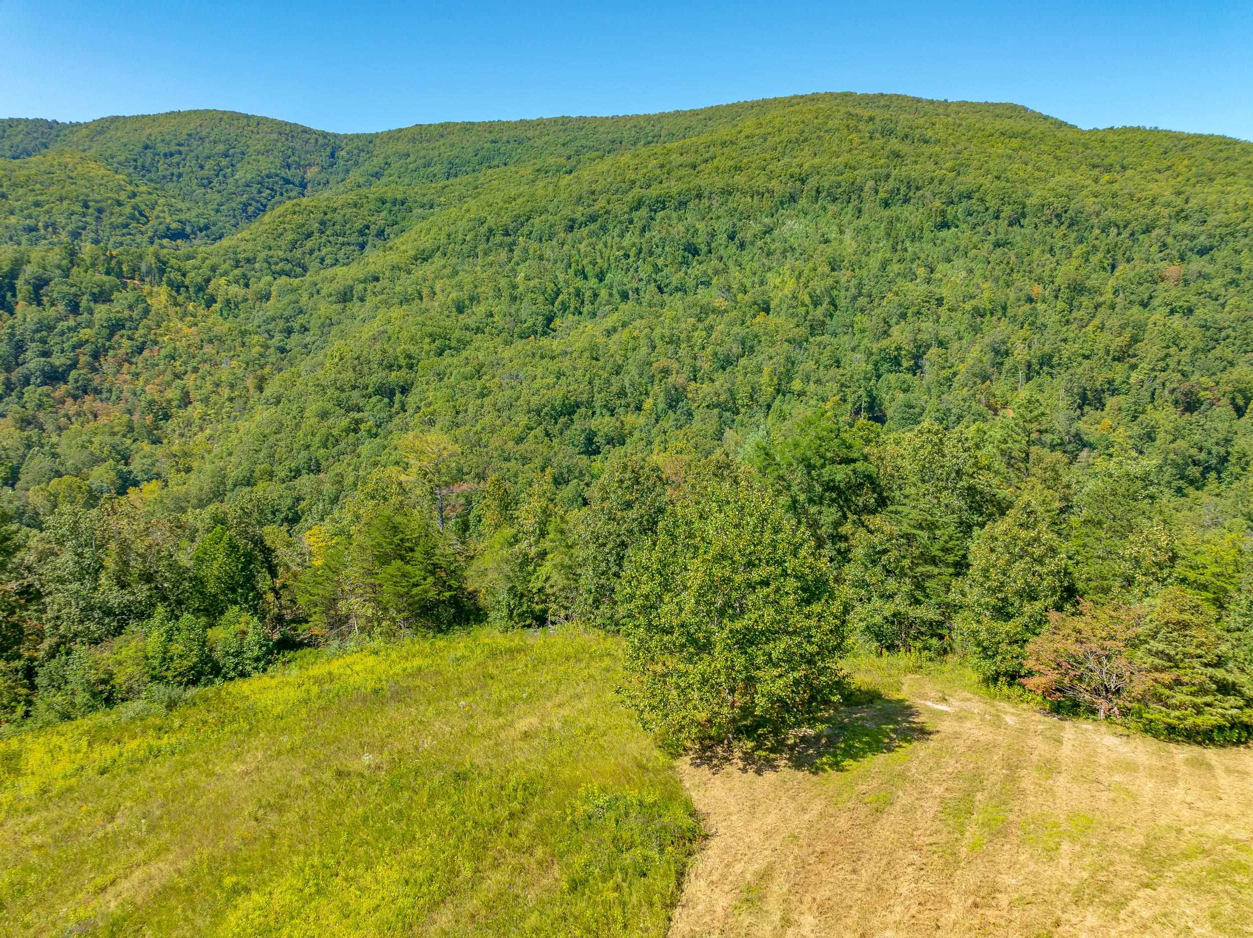 Tbd Wolf Creek Road Narrows VA 24124