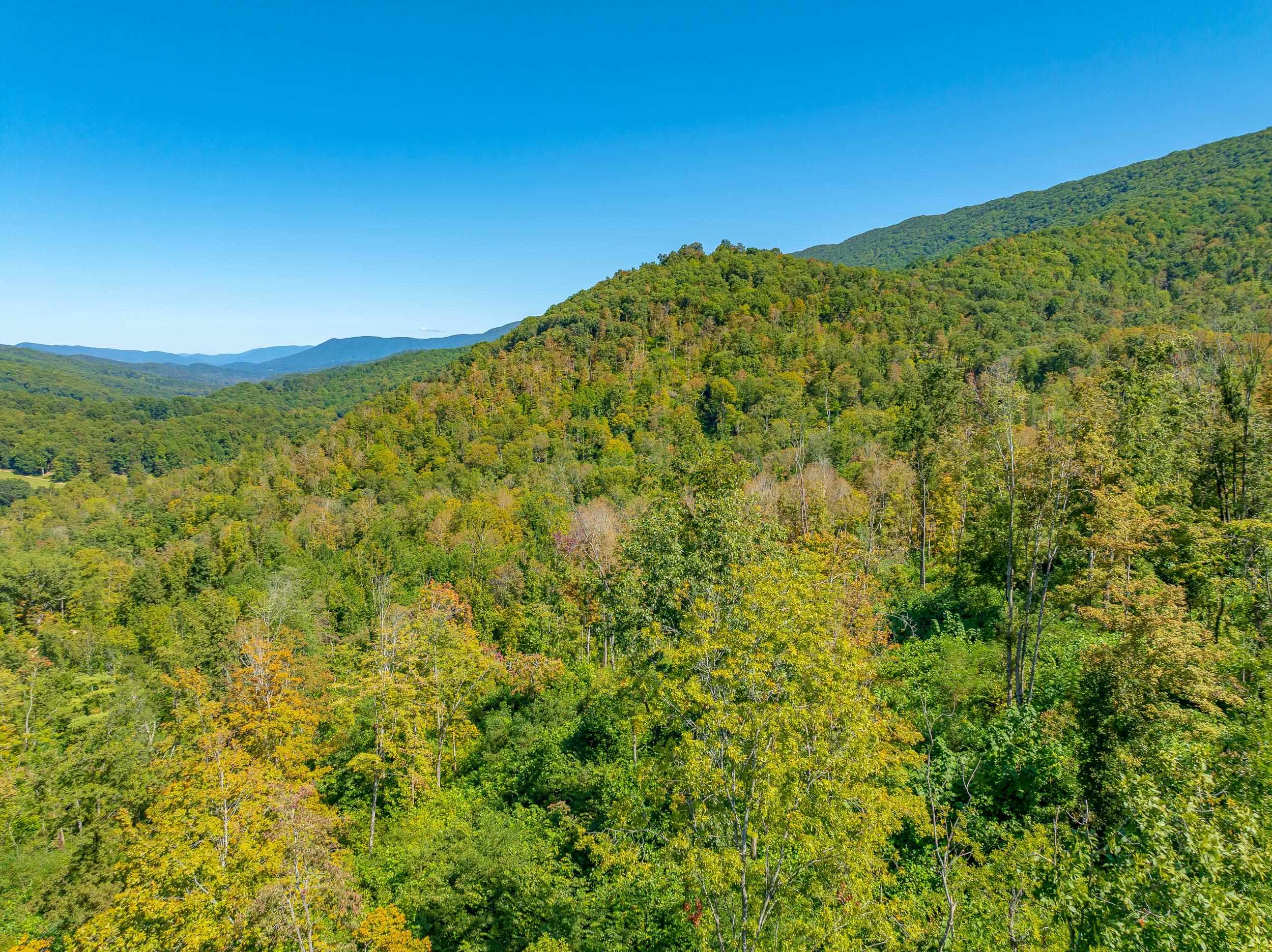 Tbd Wolf Creek Road Narrows VA 24124