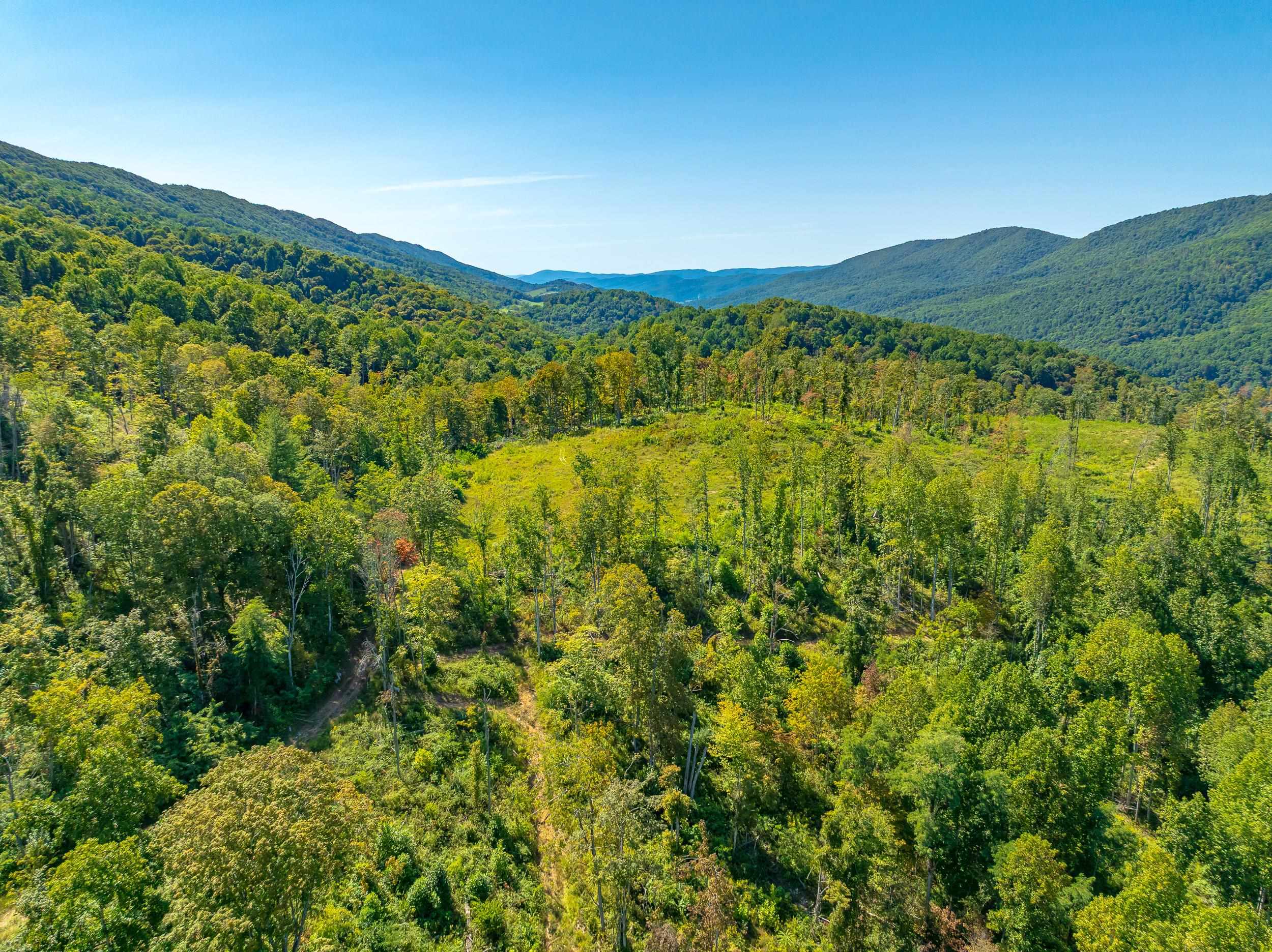 Tbd Wolf Creek Road Narrows VA 24124