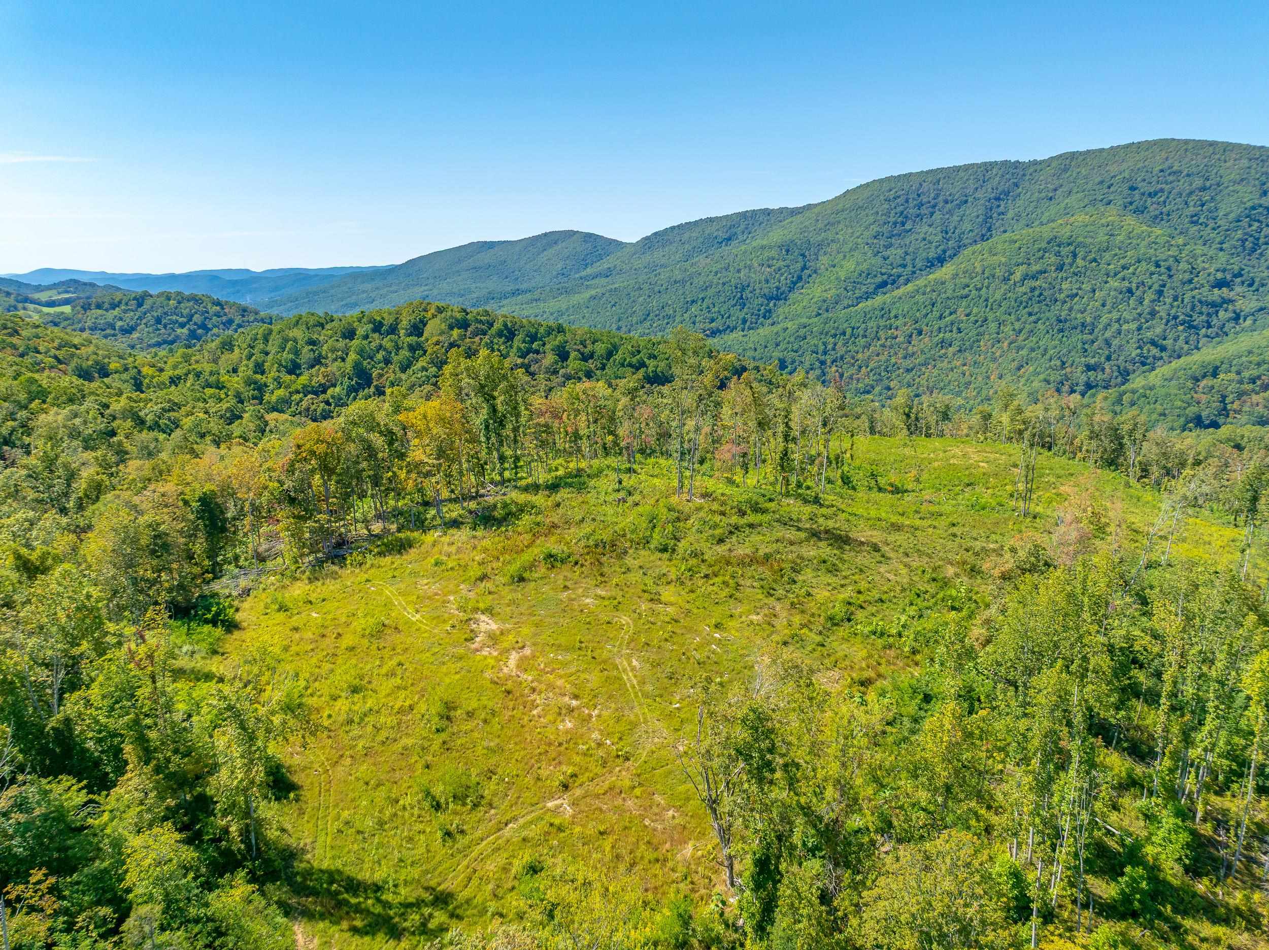 Tbd Wolf Creek Road Narrows VA 24124