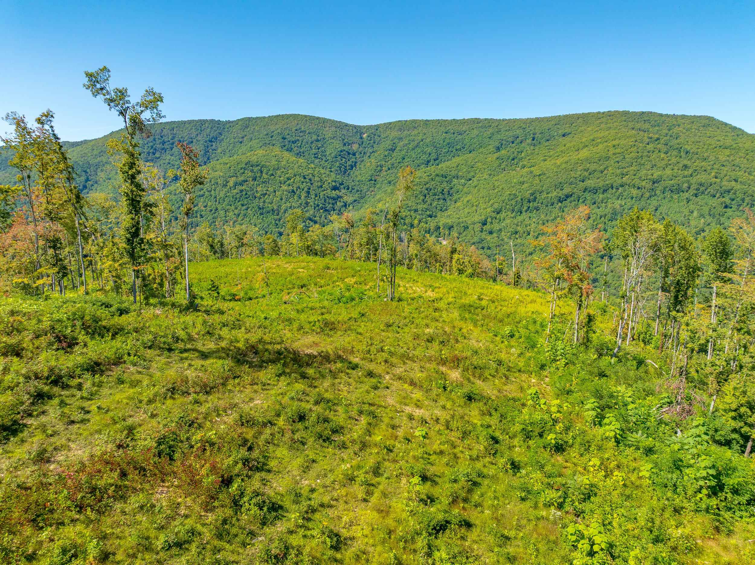 Tbd Wolf Creek Road Narrows VA 24124