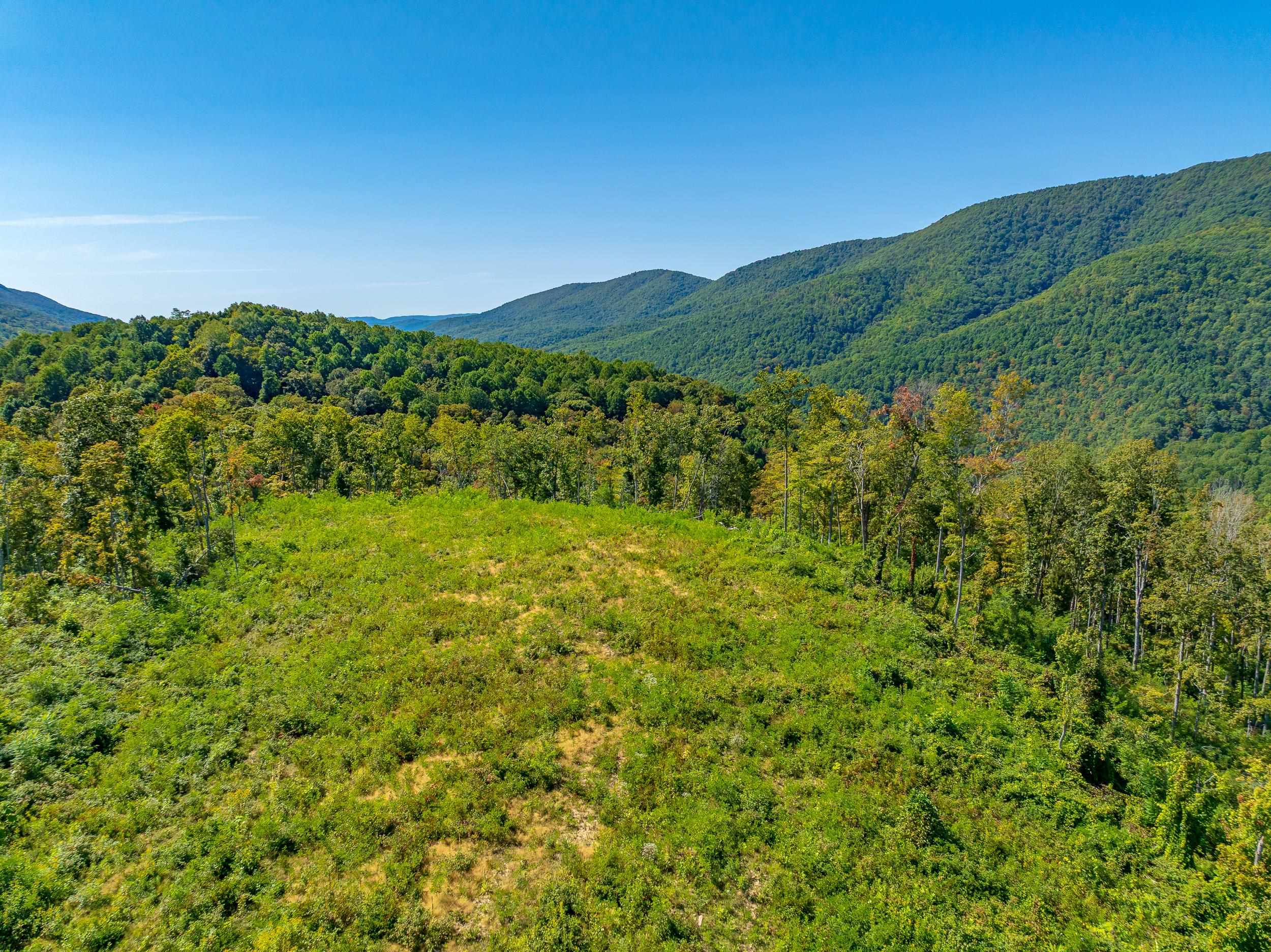 Tbd Wolf Creek Road Narrows VA 24124