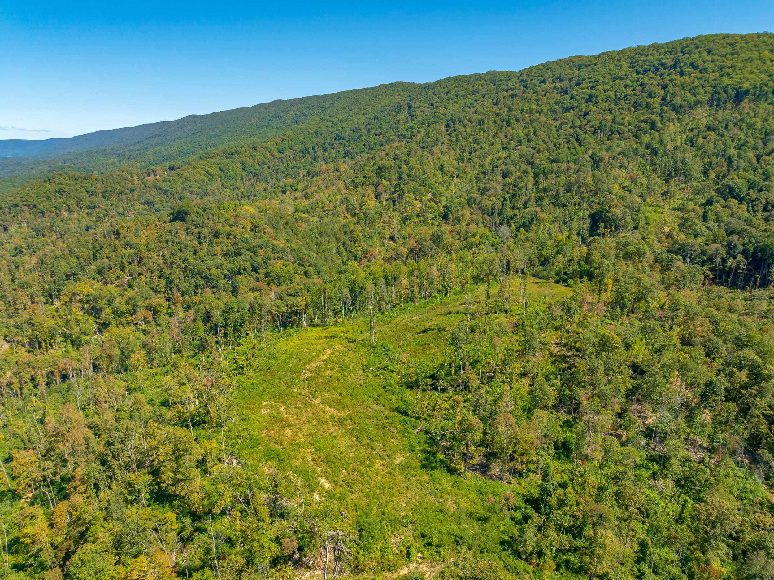 Tbd Wolf Creek Road Narrows VA 24124