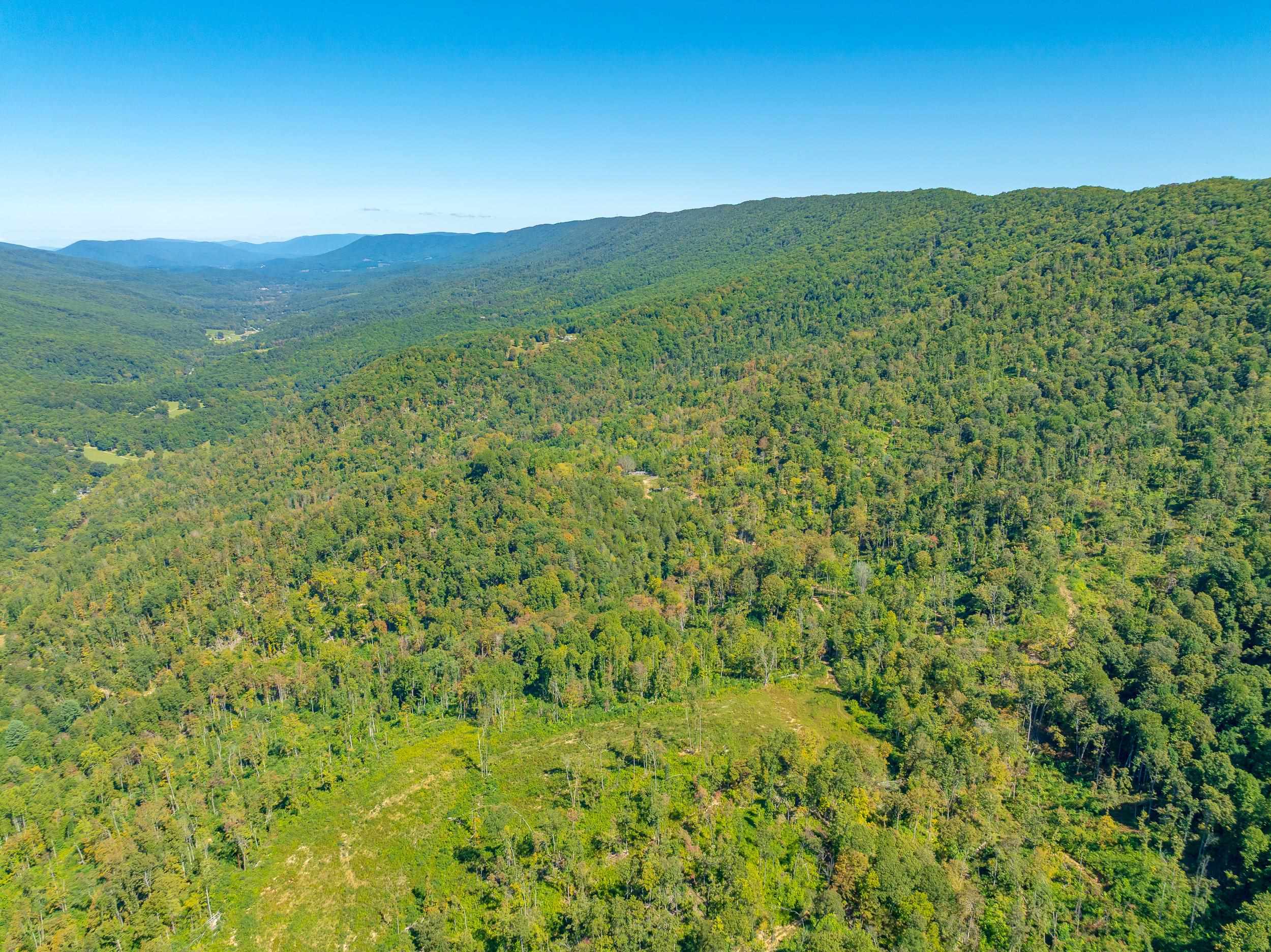 Tbd Wolf Creek Road Narrows VA 24124