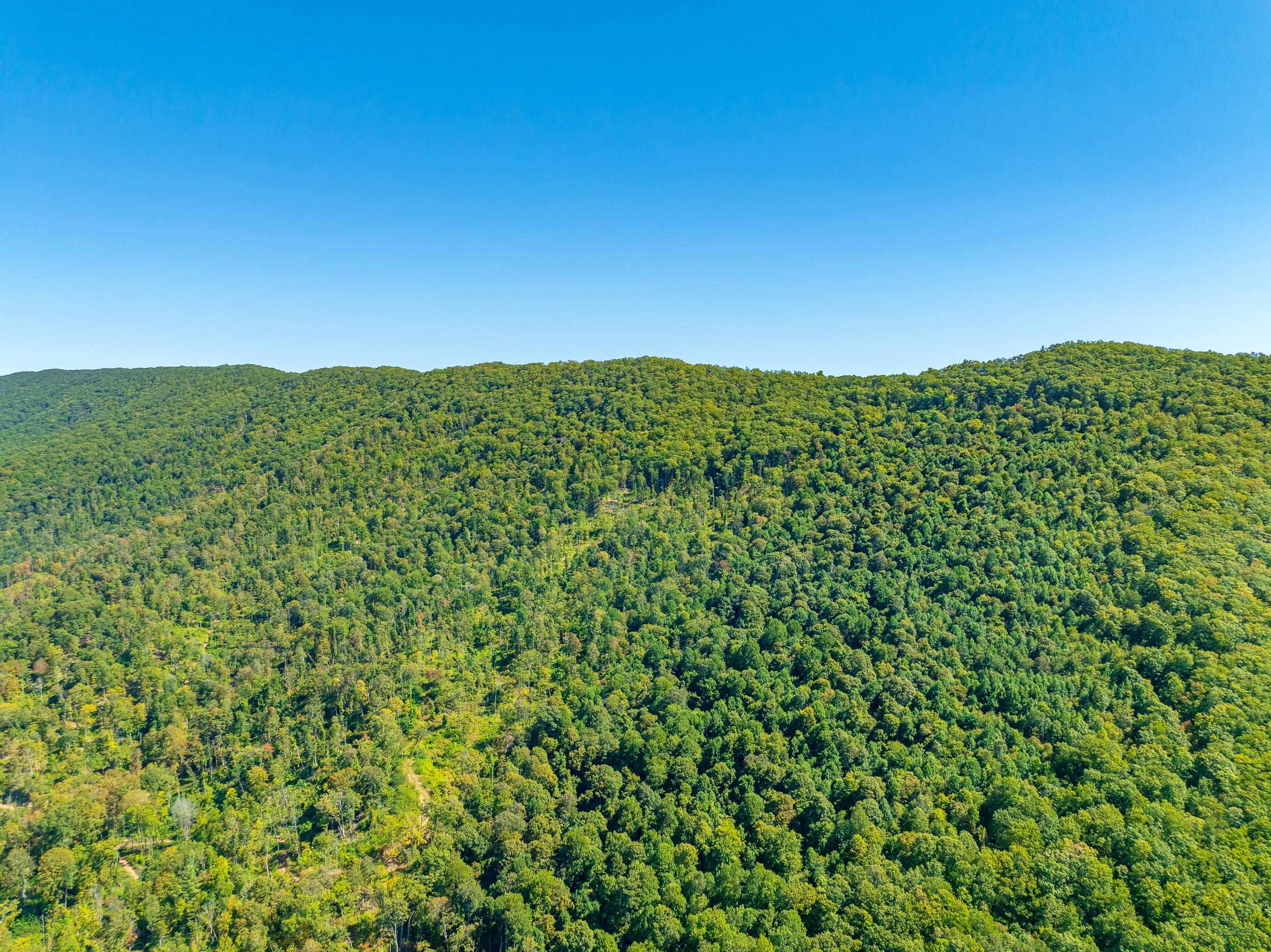 Tbd Wolf Creek Road Narrows VA 24124