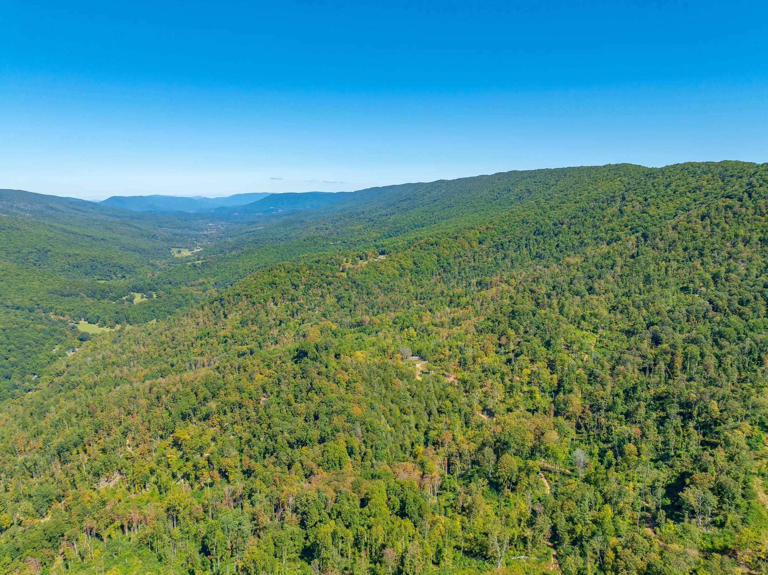 Tbd Wolf Creek Road Narrows VA 24124