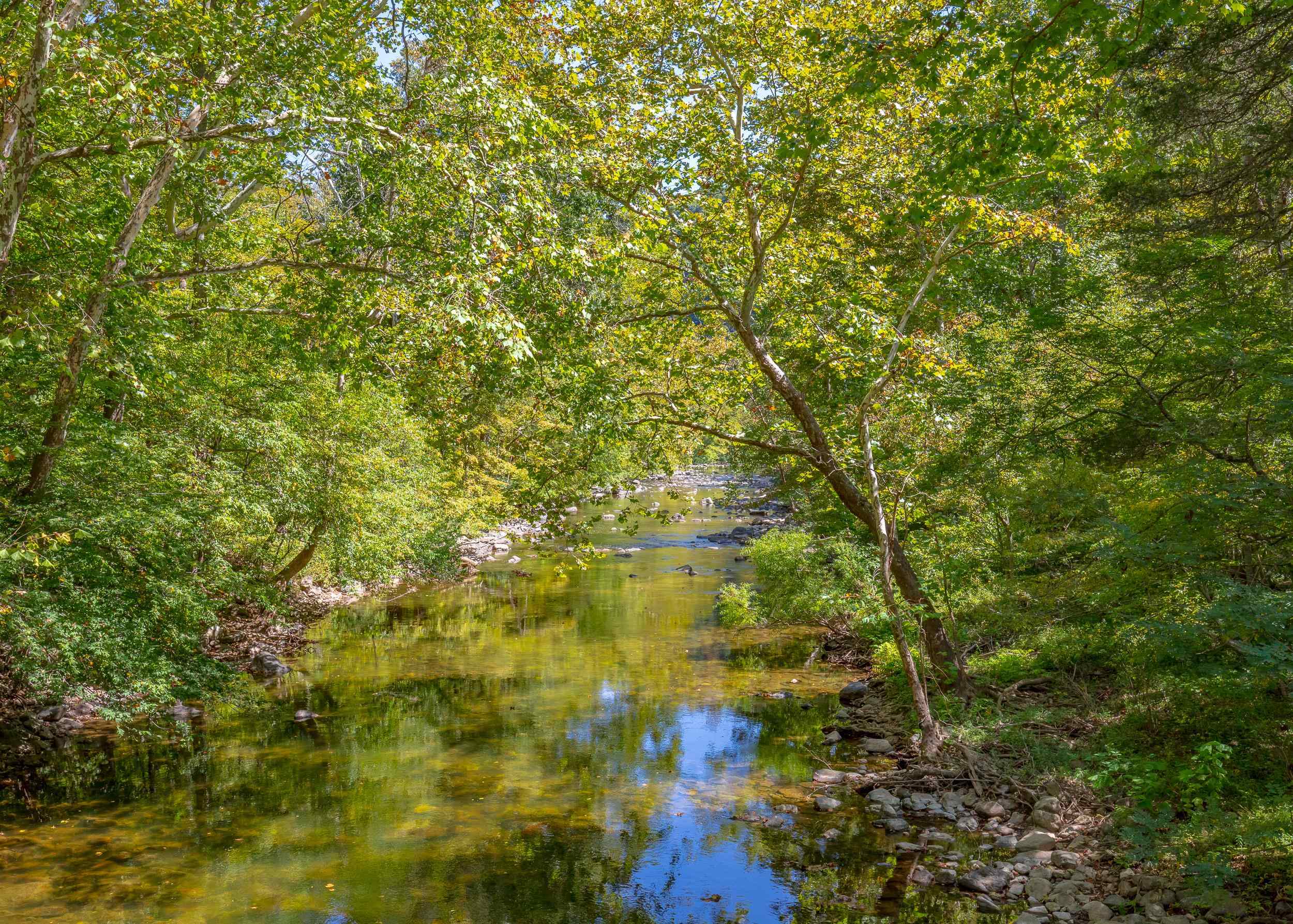 Tbd Wolf Creek Road Narrows VA 24124