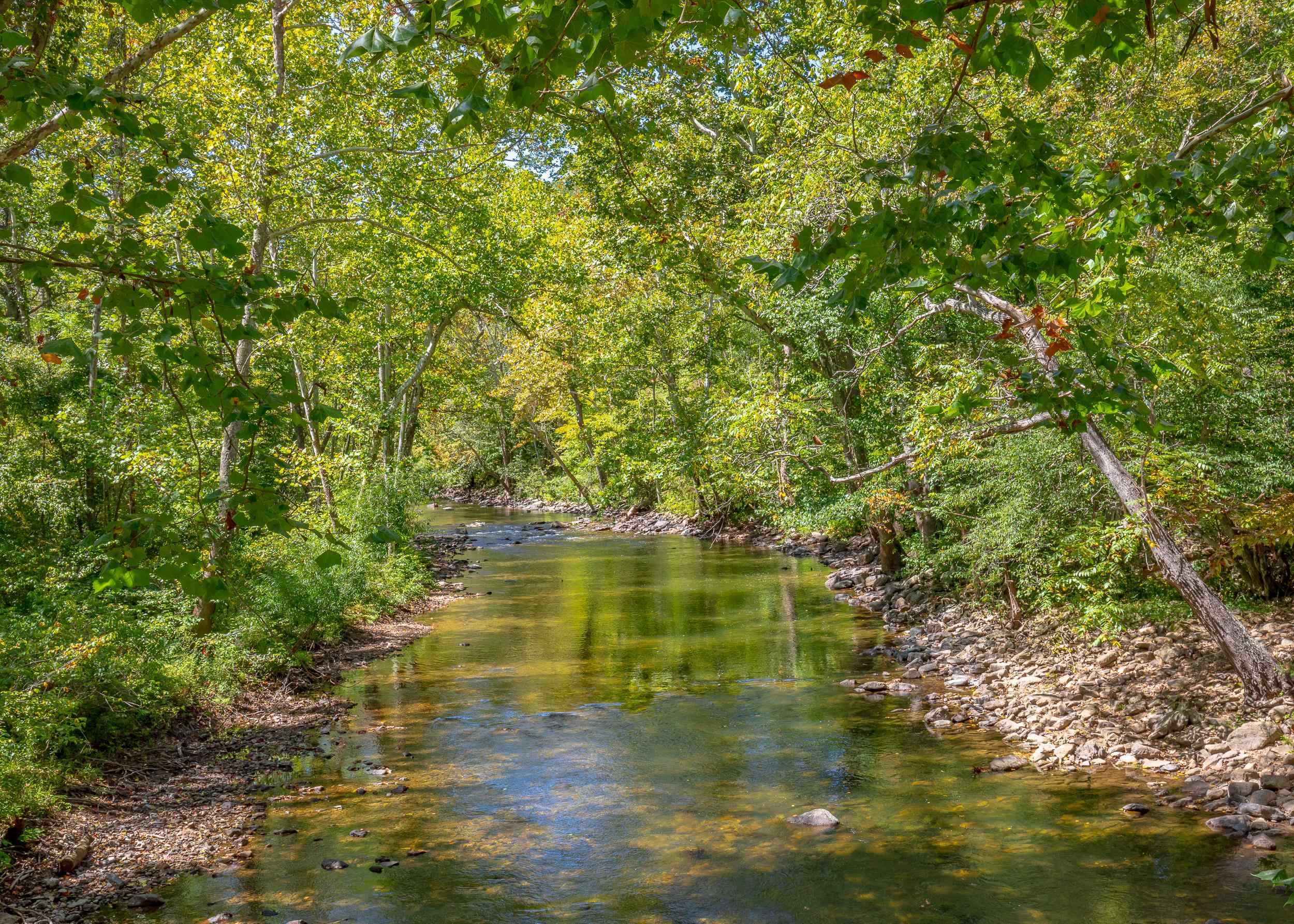 Tbd Wolf Creek Road Narrows VA 24124