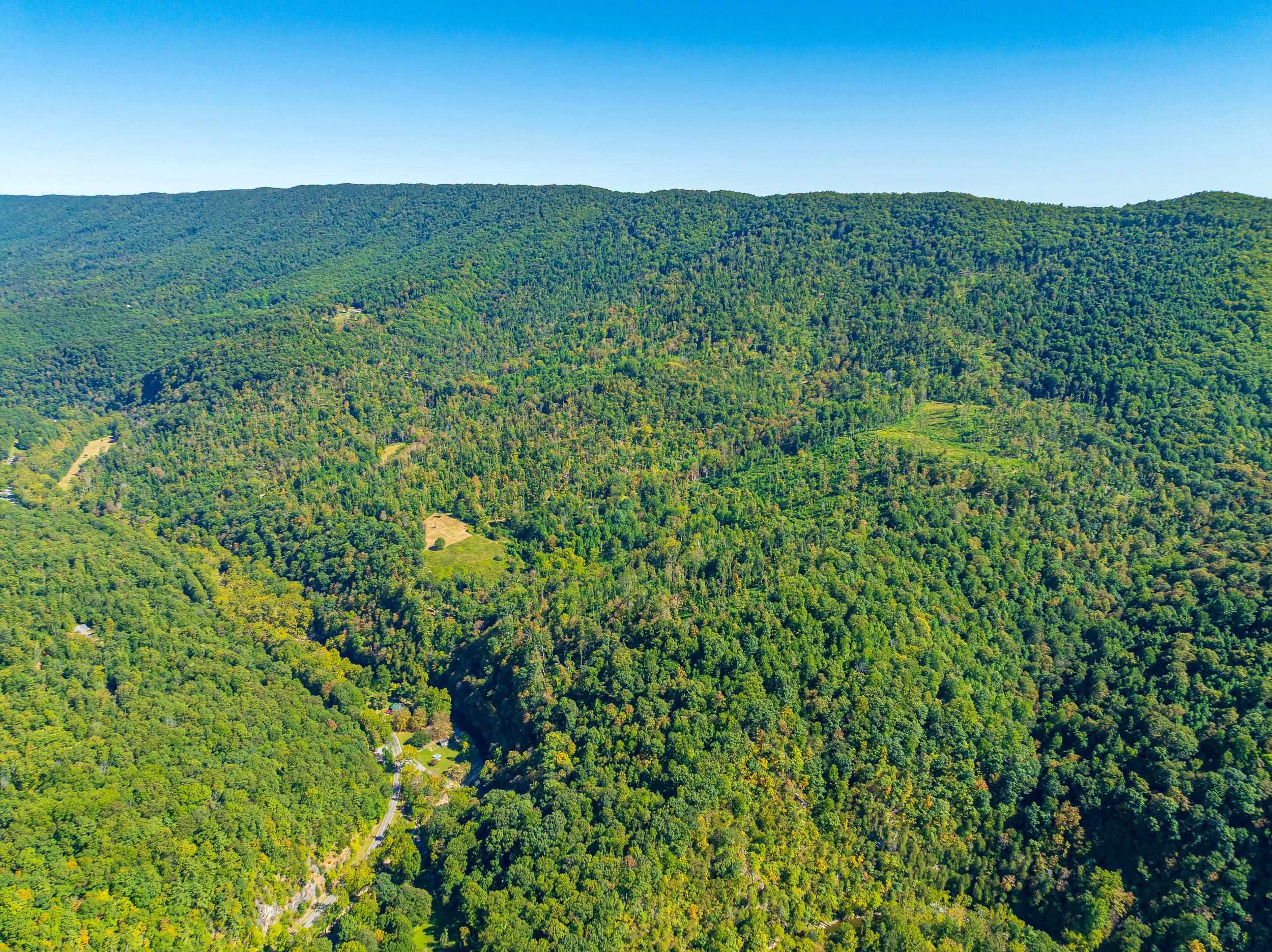 Tbd Wolf Creek Road Narrows VA 24124