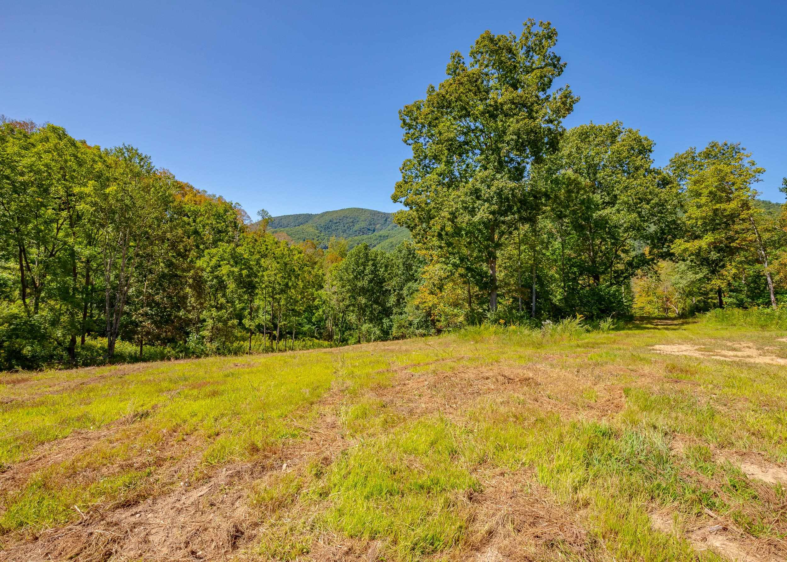 Tbd Wolf Creek Road Narrows VA 24124