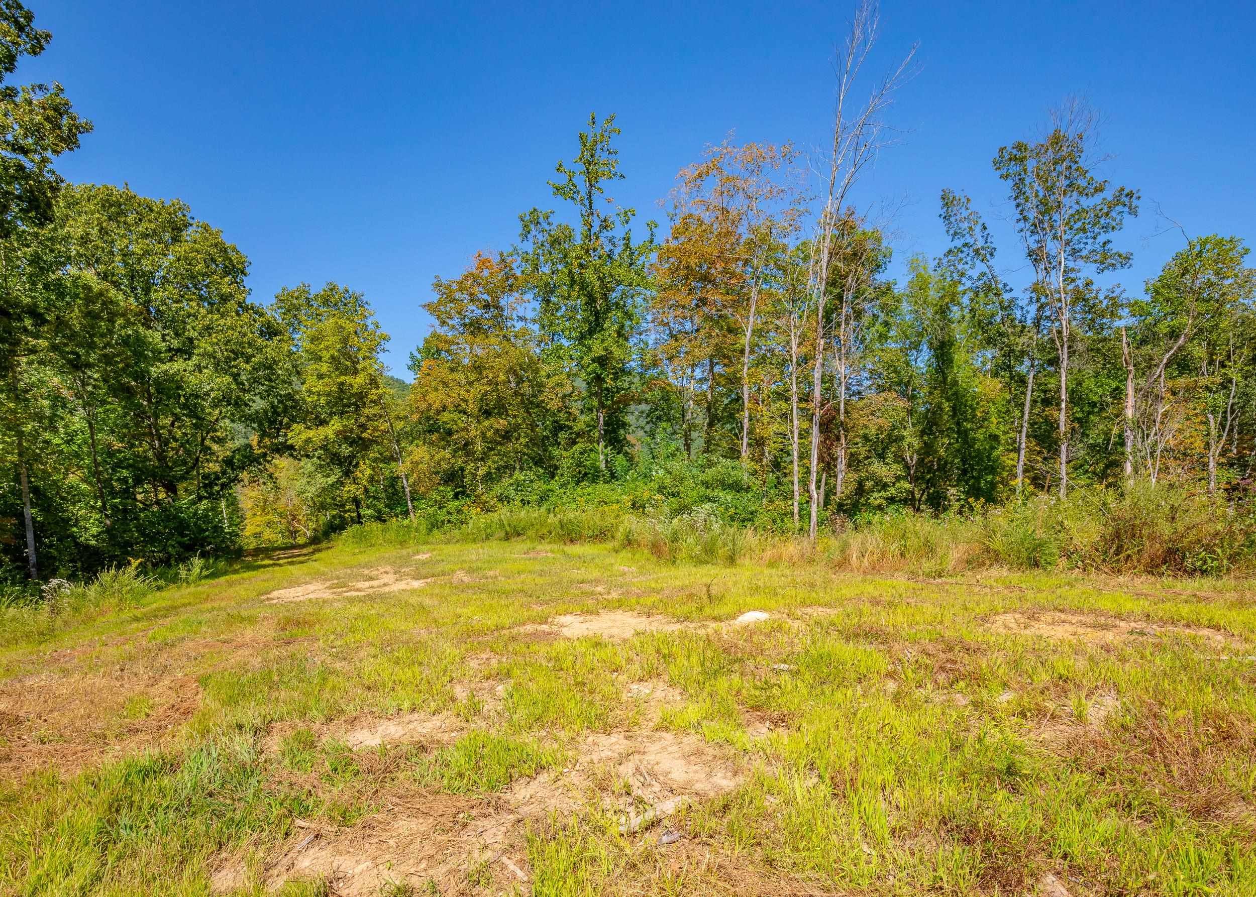 Tbd Wolf Creek Road Narrows VA 24124