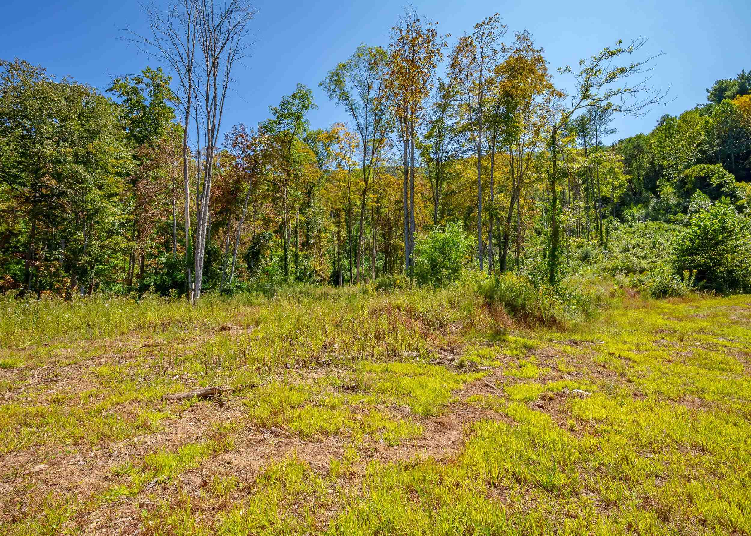 Tbd Wolf Creek Road Narrows VA 24124