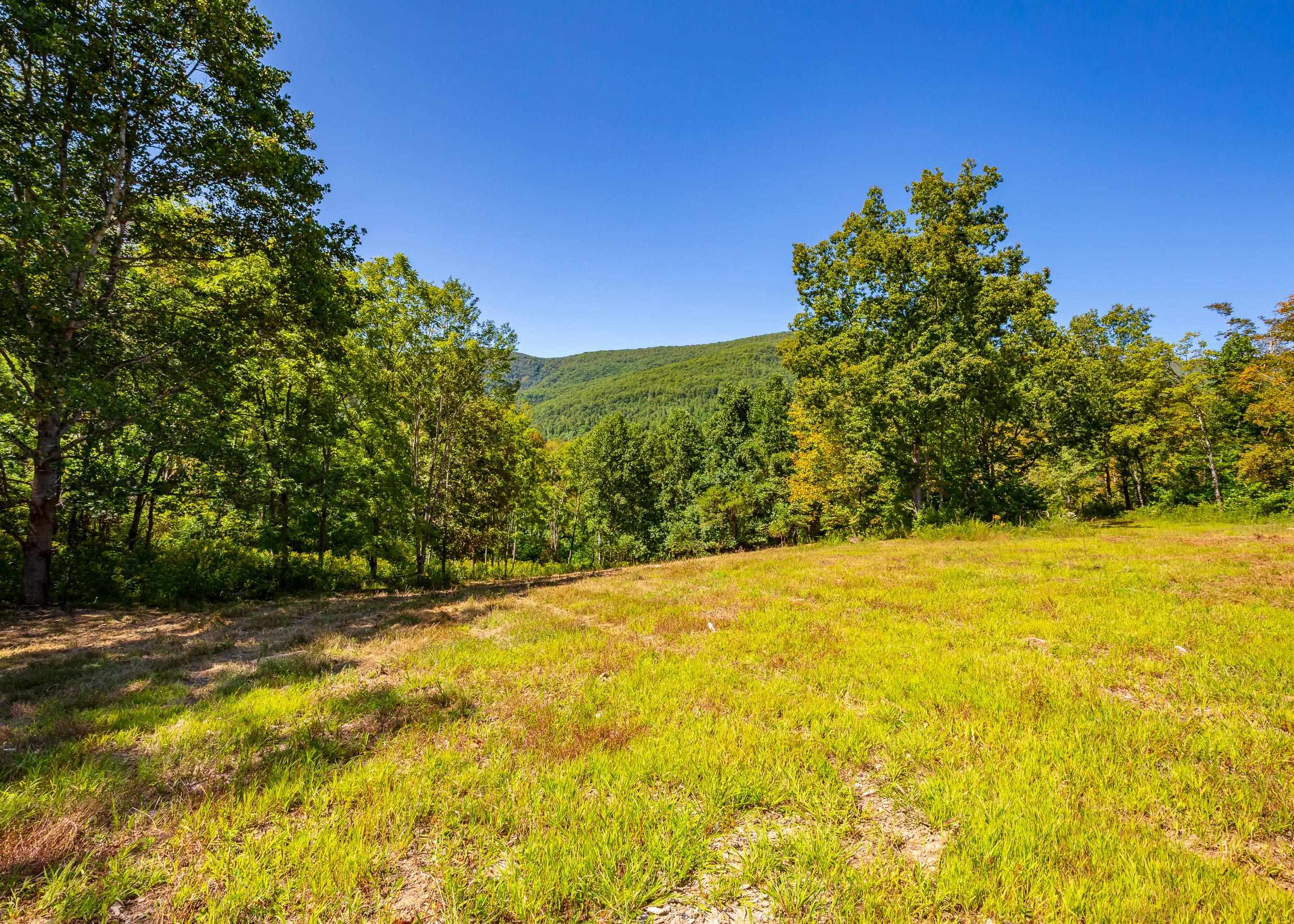 Tbd Wolf Creek Road Narrows VA 24124