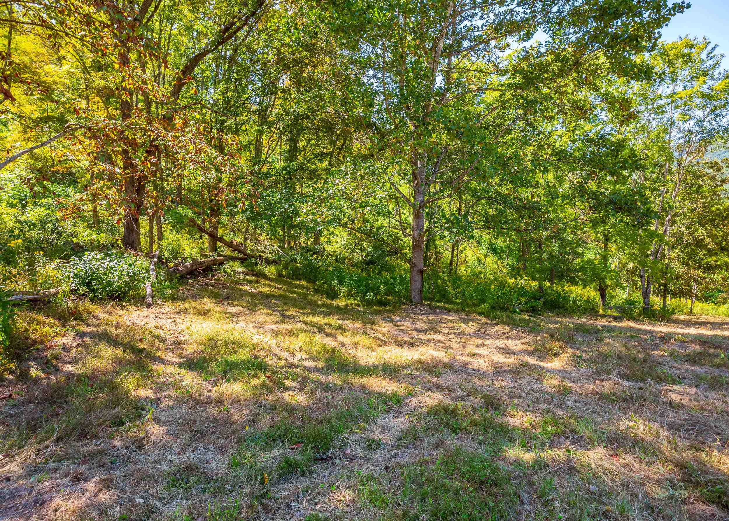 Tbd Wolf Creek Road Narrows VA 24124