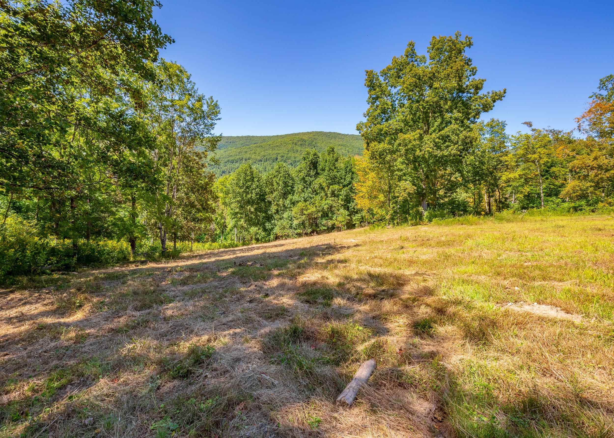 Tbd Wolf Creek Road Narrows VA 24124