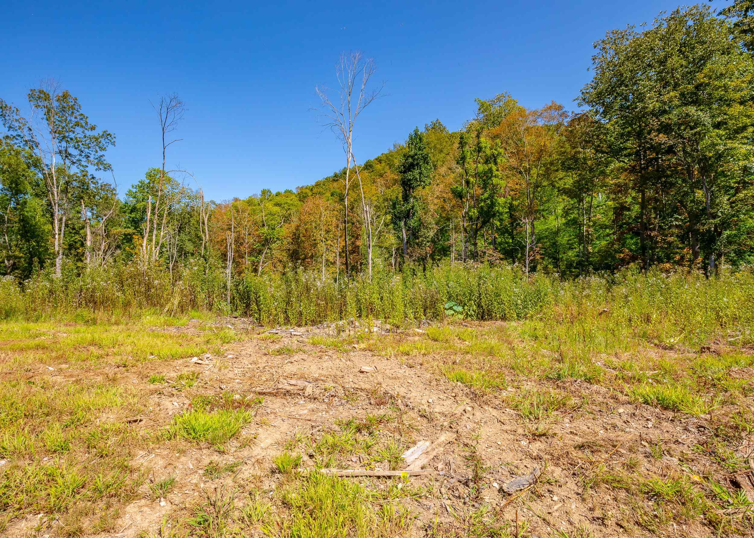 Tbd Wolf Creek Road Narrows VA 24124