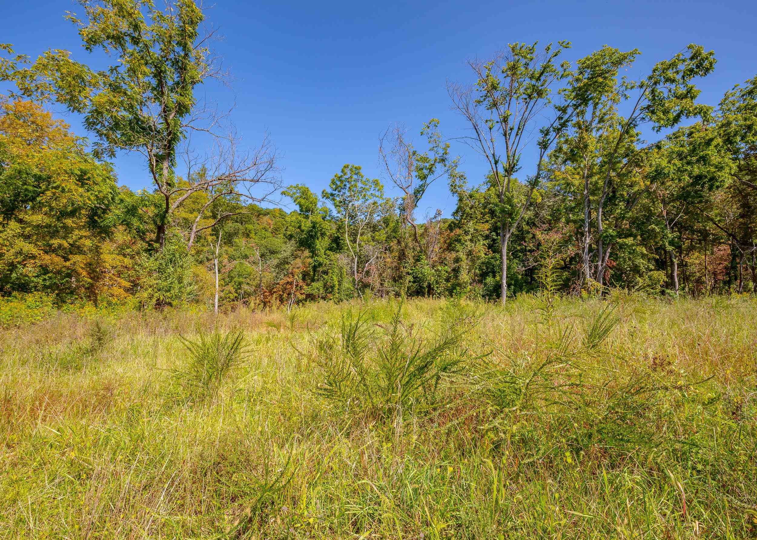 Tbd Wolf Creek Road Narrows VA 24124