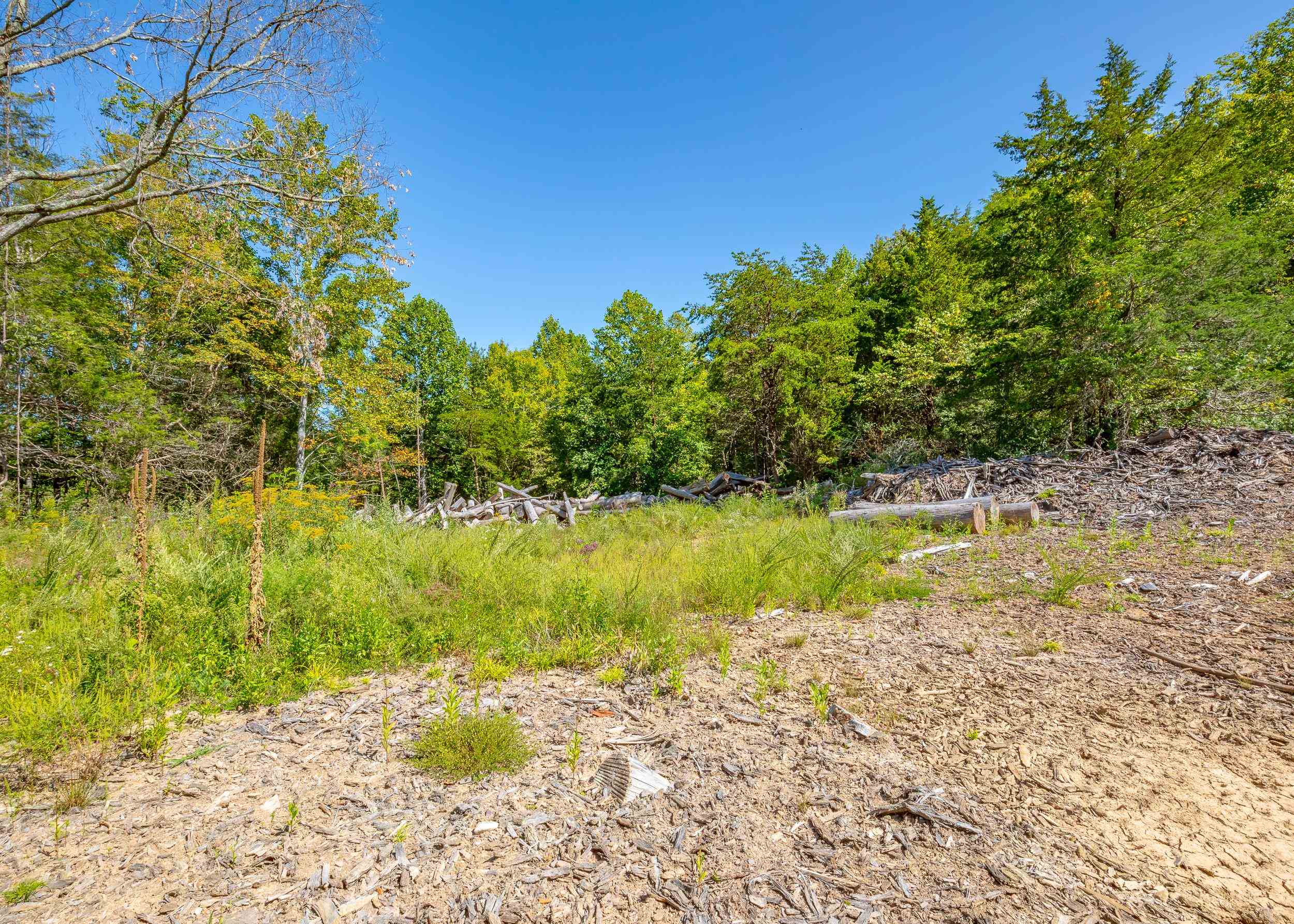 Tbd Wolf Creek Road Narrows VA 24124